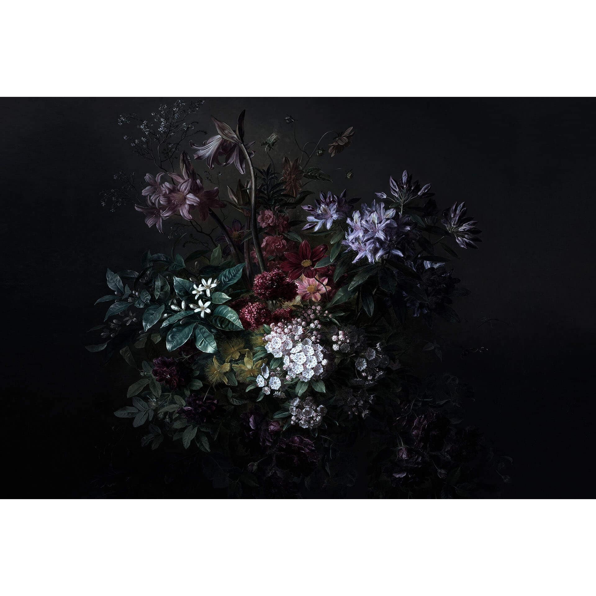 Livingwalls Fotobehang Walls by Patel bouquet noir 2
