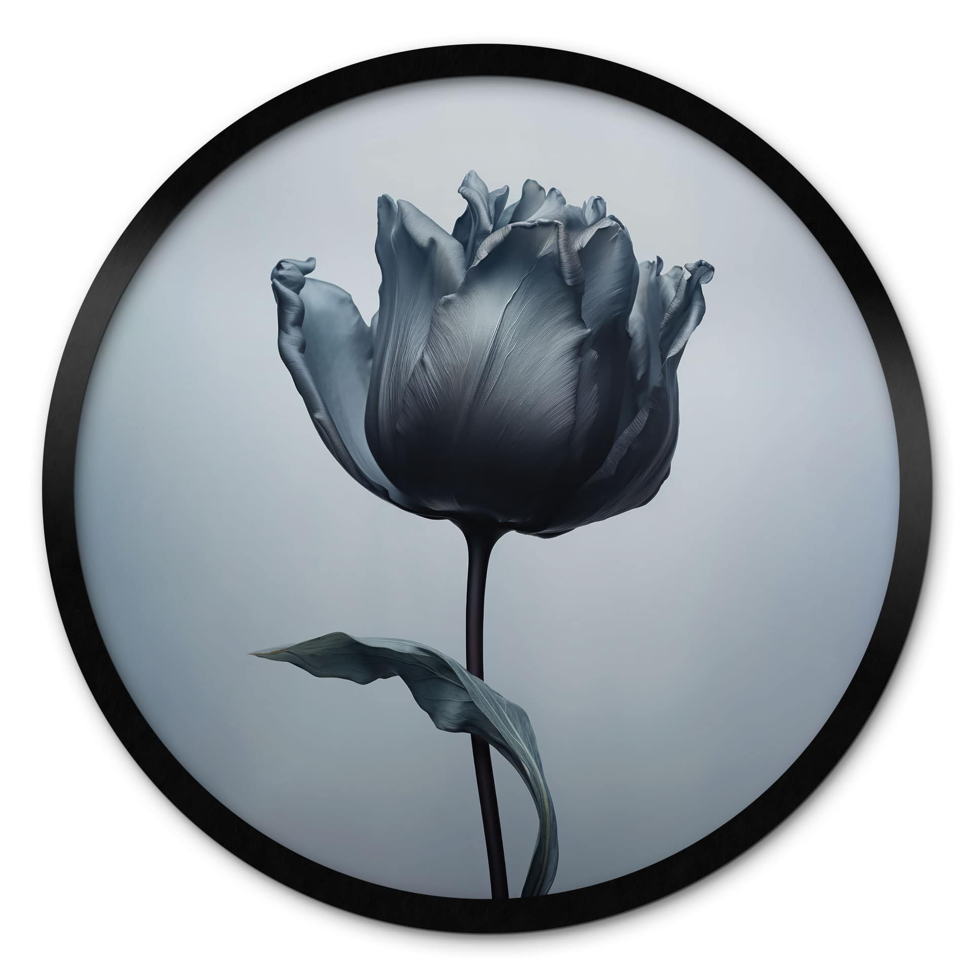 Poster Tulipe veloutée en noir - Paksoylu