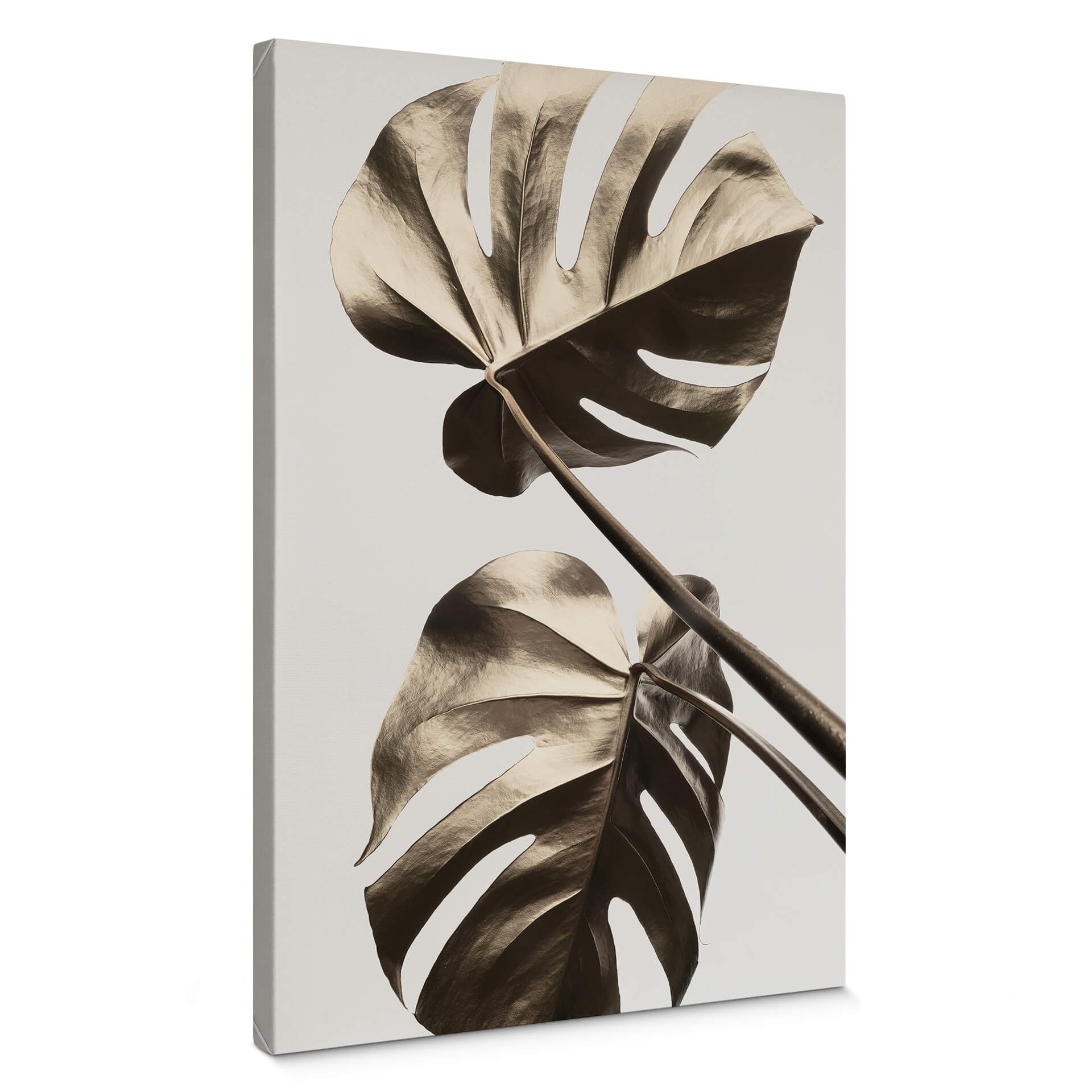 Obraz na płótnie 1X Studio - Golden Monstera