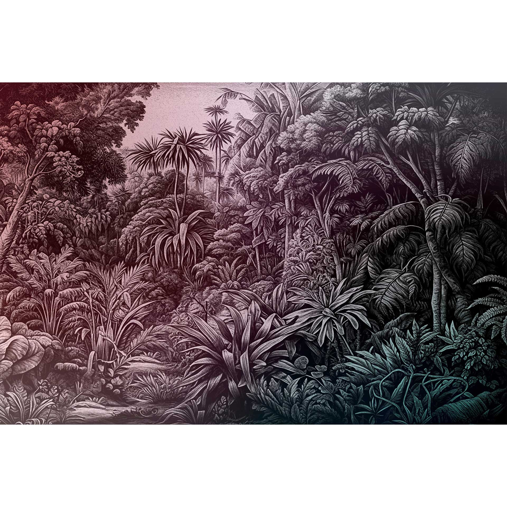 Jungle behang in monochroom - tropische plantenmotieven - vlies