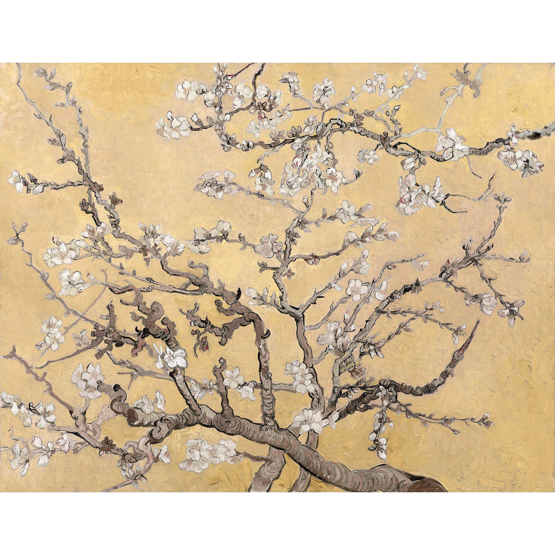 Fotobehang van Gogh - Amandelbloesem crème