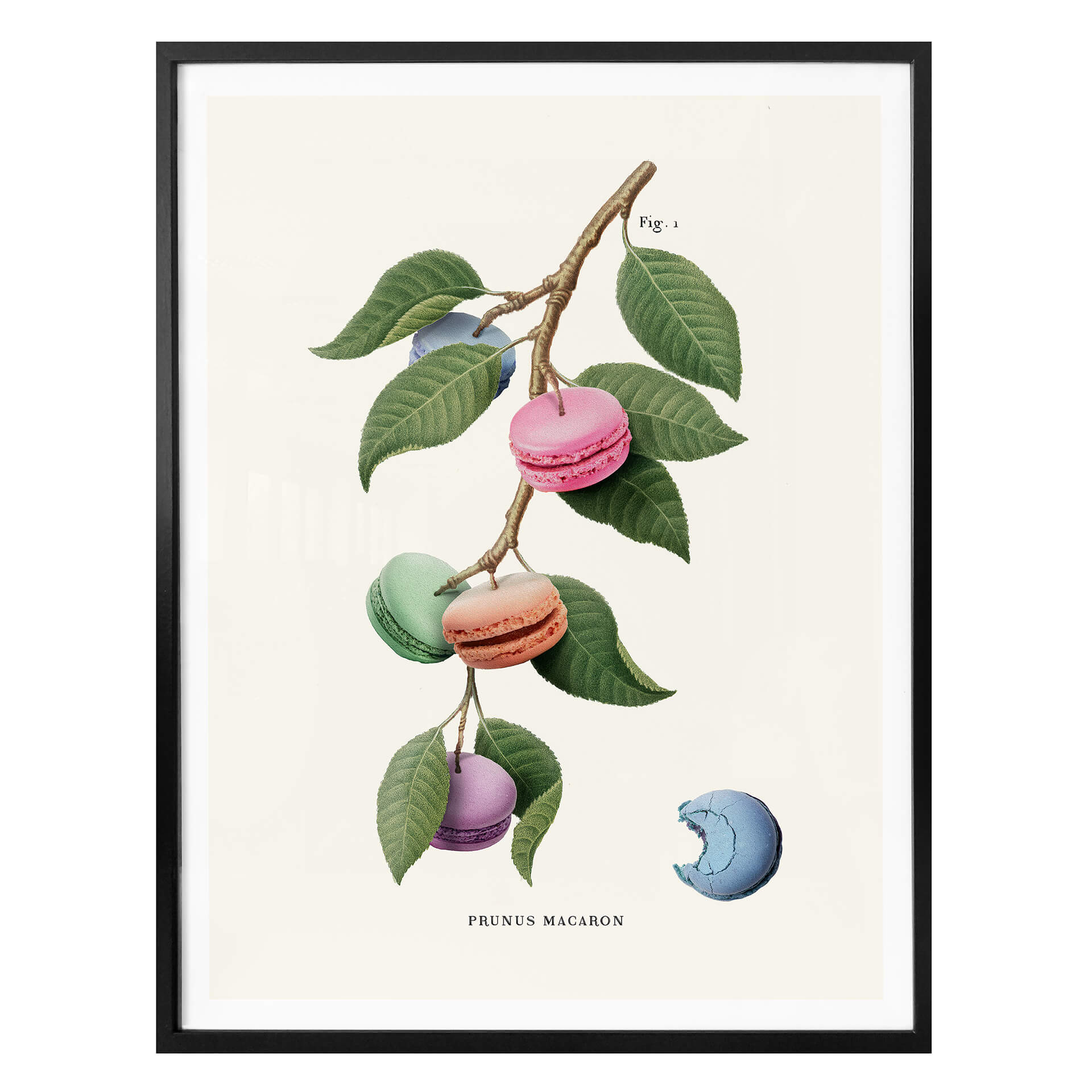 Poster Loose - Macaron Pflanze
