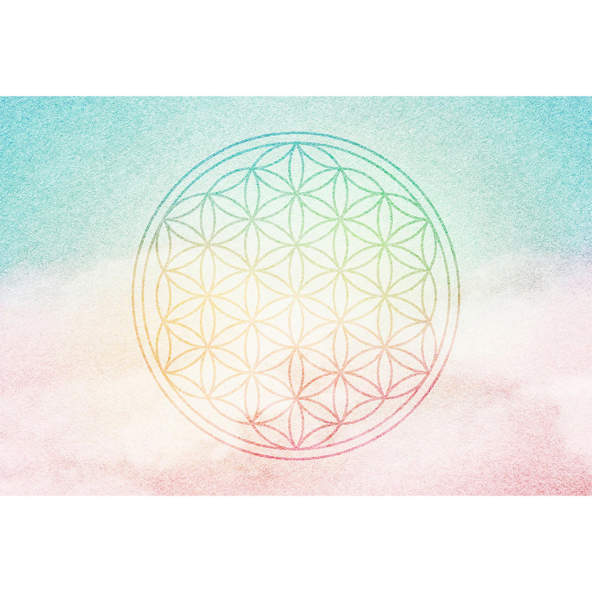 Architects Paper Fotobehang Atelier 47 Flower of Life