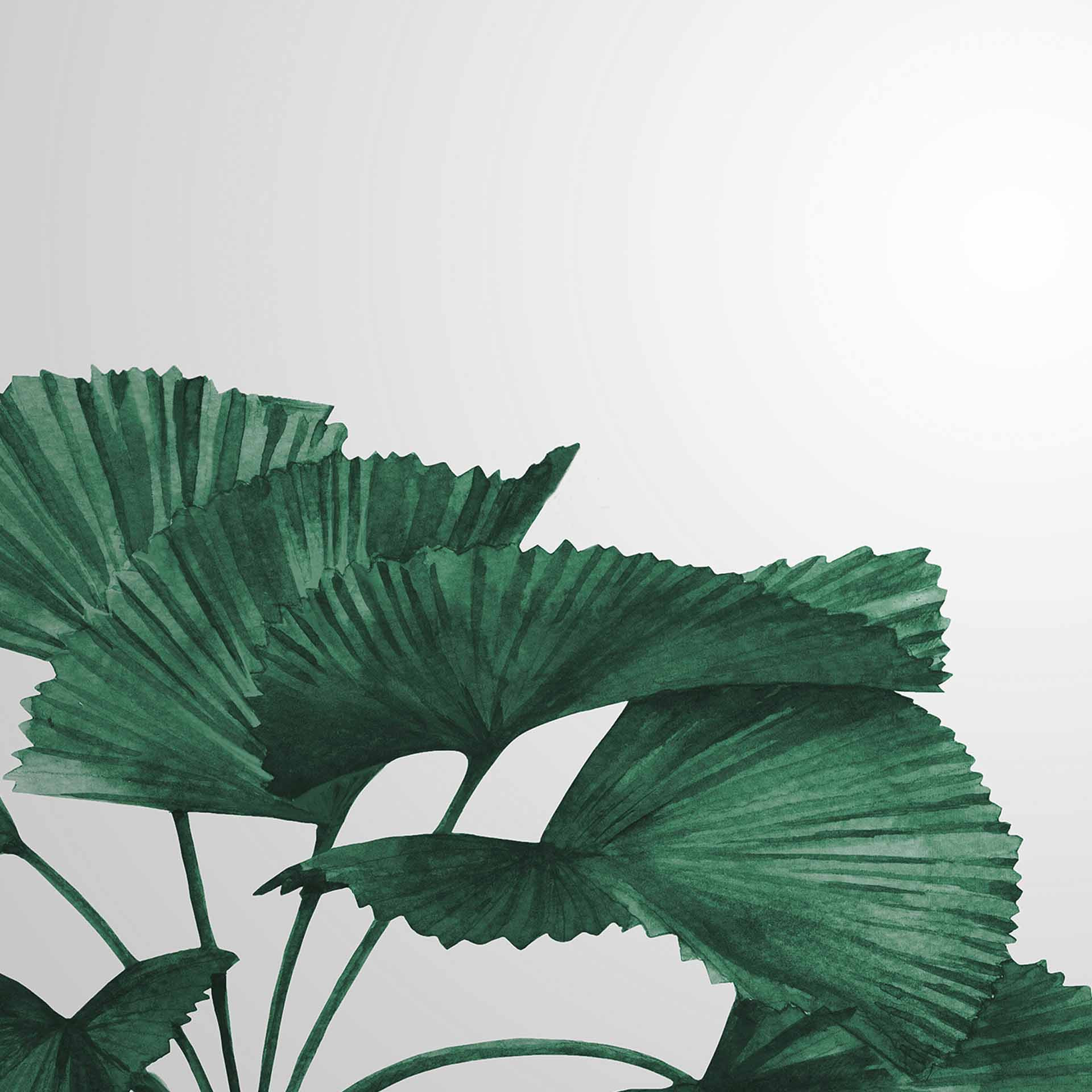 Tropical Leaves plant behang in grijs groen - vliesbehang Designwalls 2 - 2,55 x 3,5 m