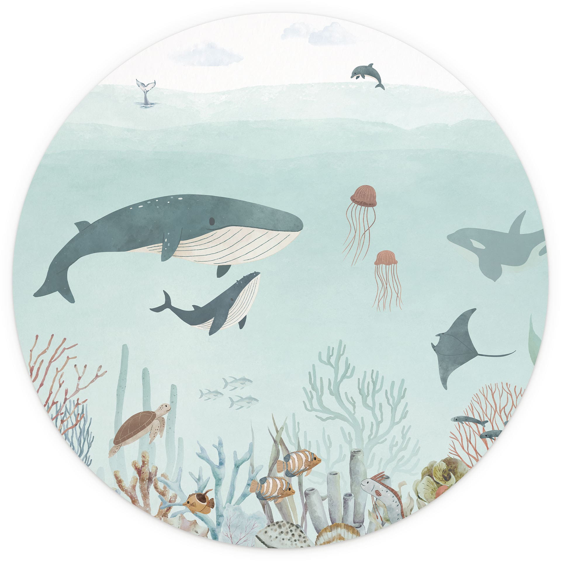 Fotobehang voor kinderkamer - Onderwateravontuur met zeedieren - Oliver Robins - Rond - vliesbehang/