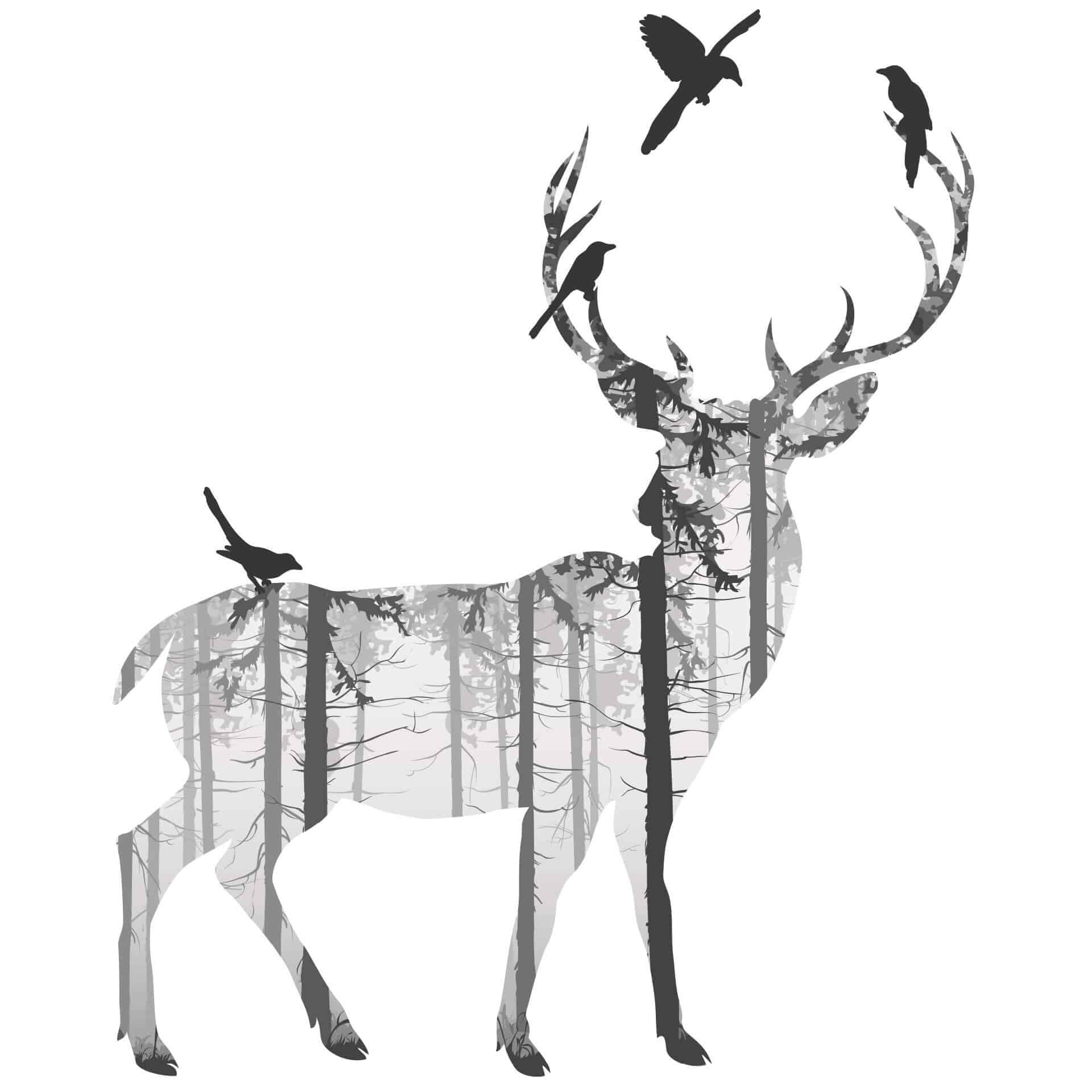 Wallsticker Rådyrs silhuet