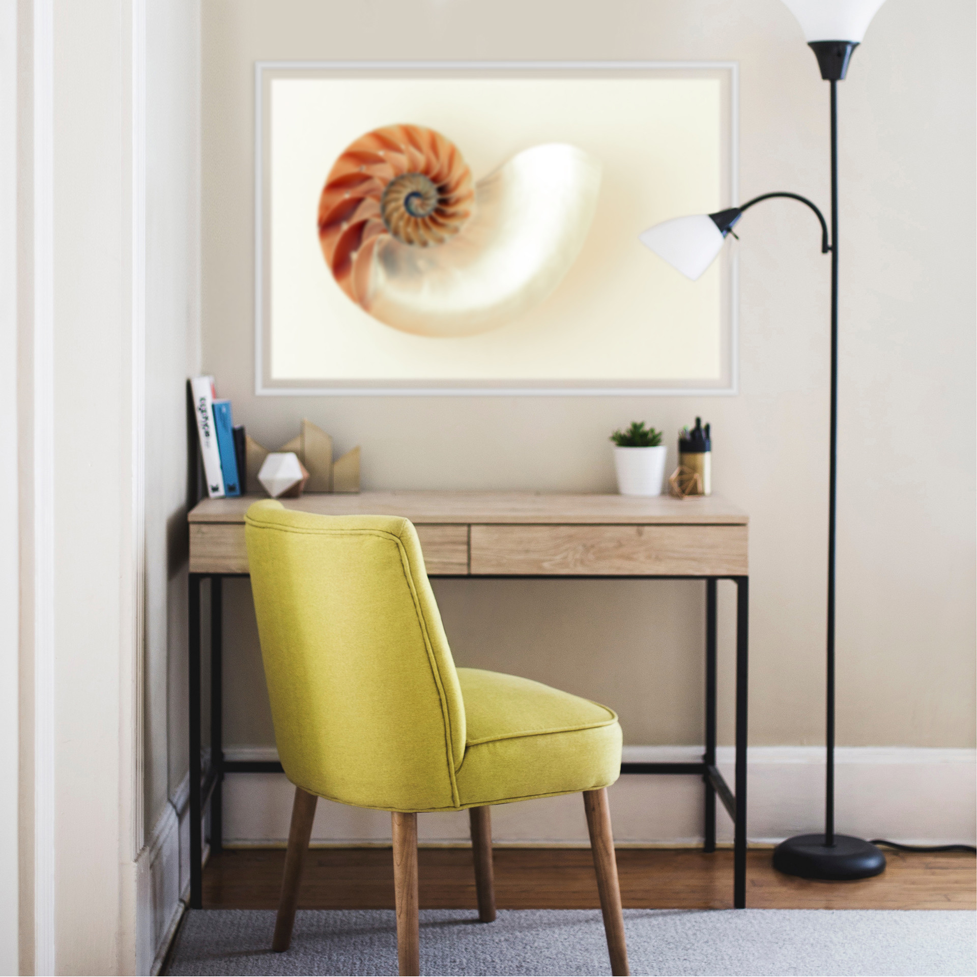 Wallprint Nautilus