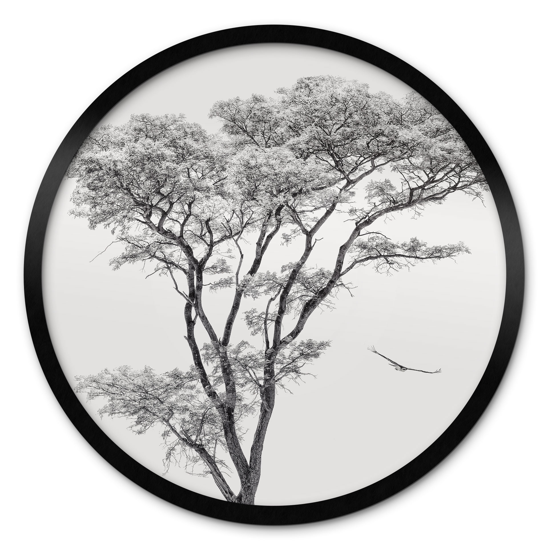 Poster Minimalistischer Baum in ruhiger Landschaft - Flour - Rund