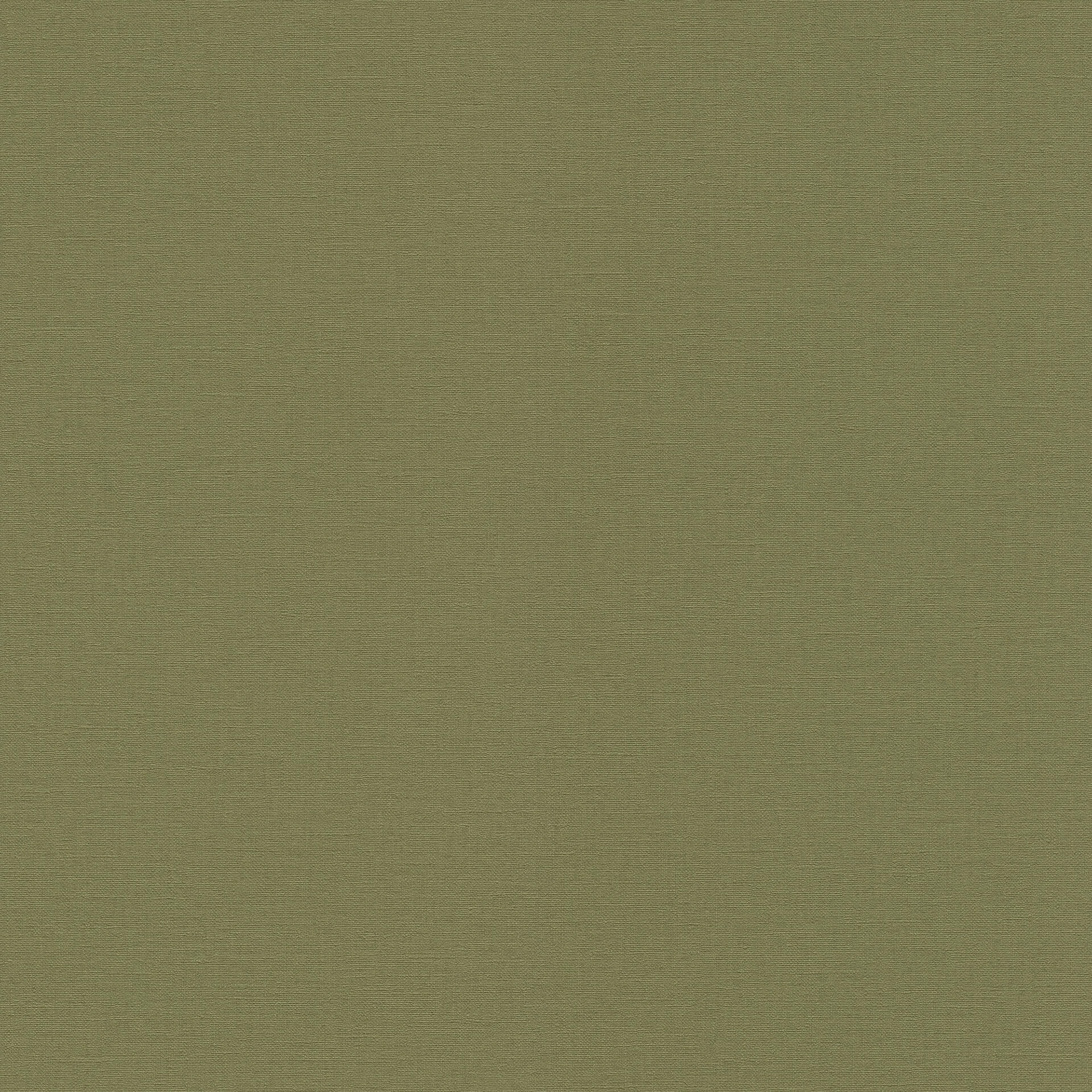 Rasch Vliesbehang Salsa khaki