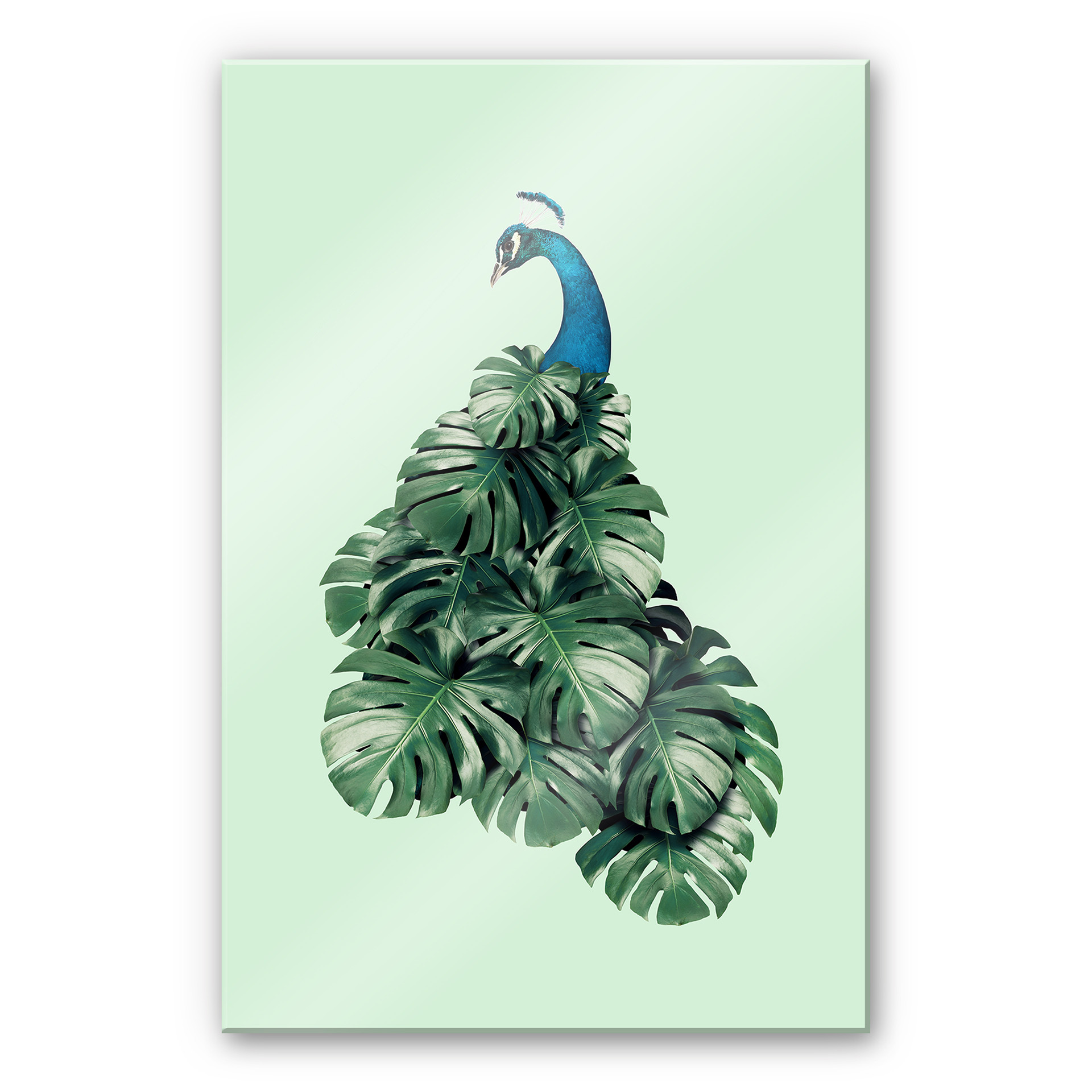 Akrylbillede Løs - Monstera Bird