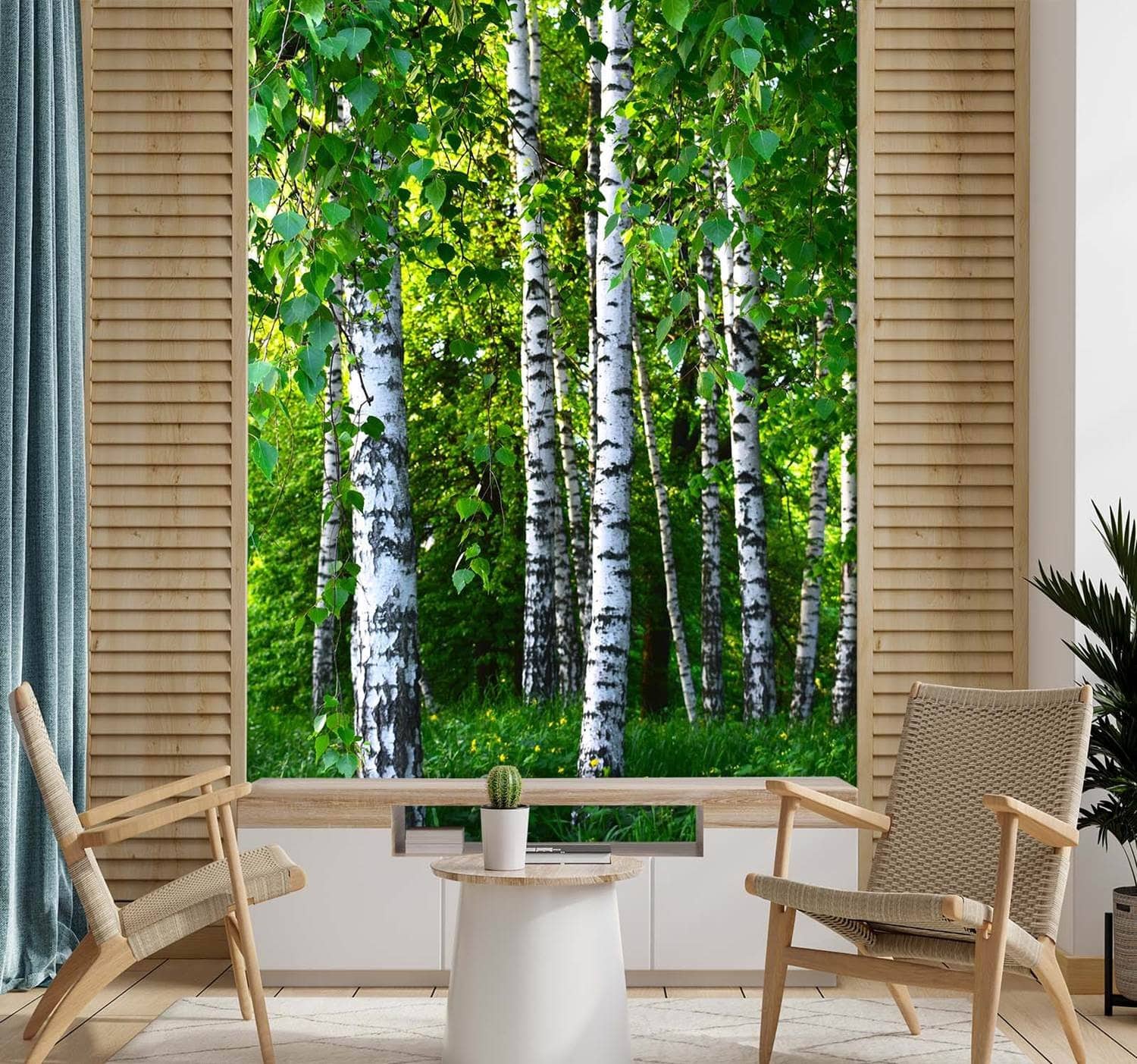 Fototapete, Birken Wald Natur