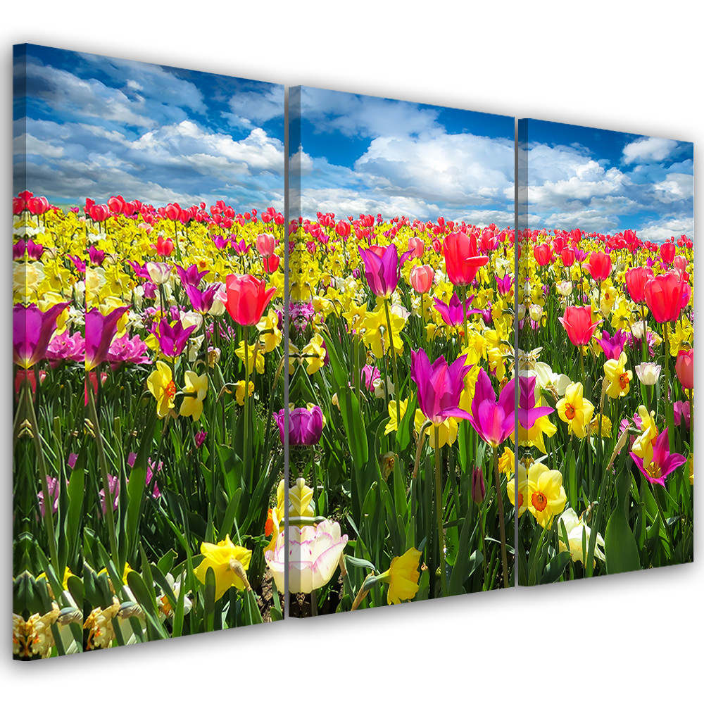 3-delt lærredsprint Farverige tulipaner Blomster Natur
