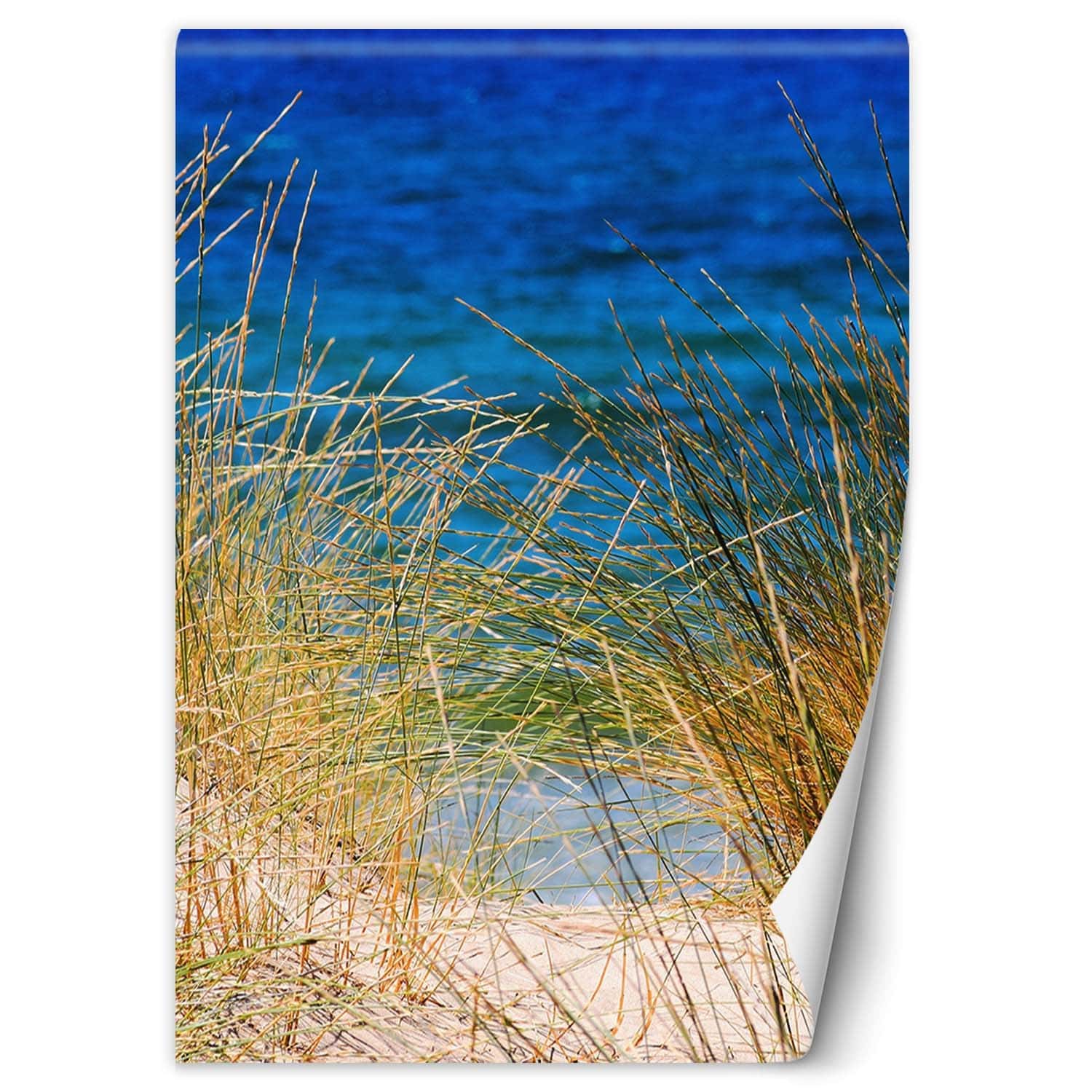 Fototapete, Hohe Gräser am Meer