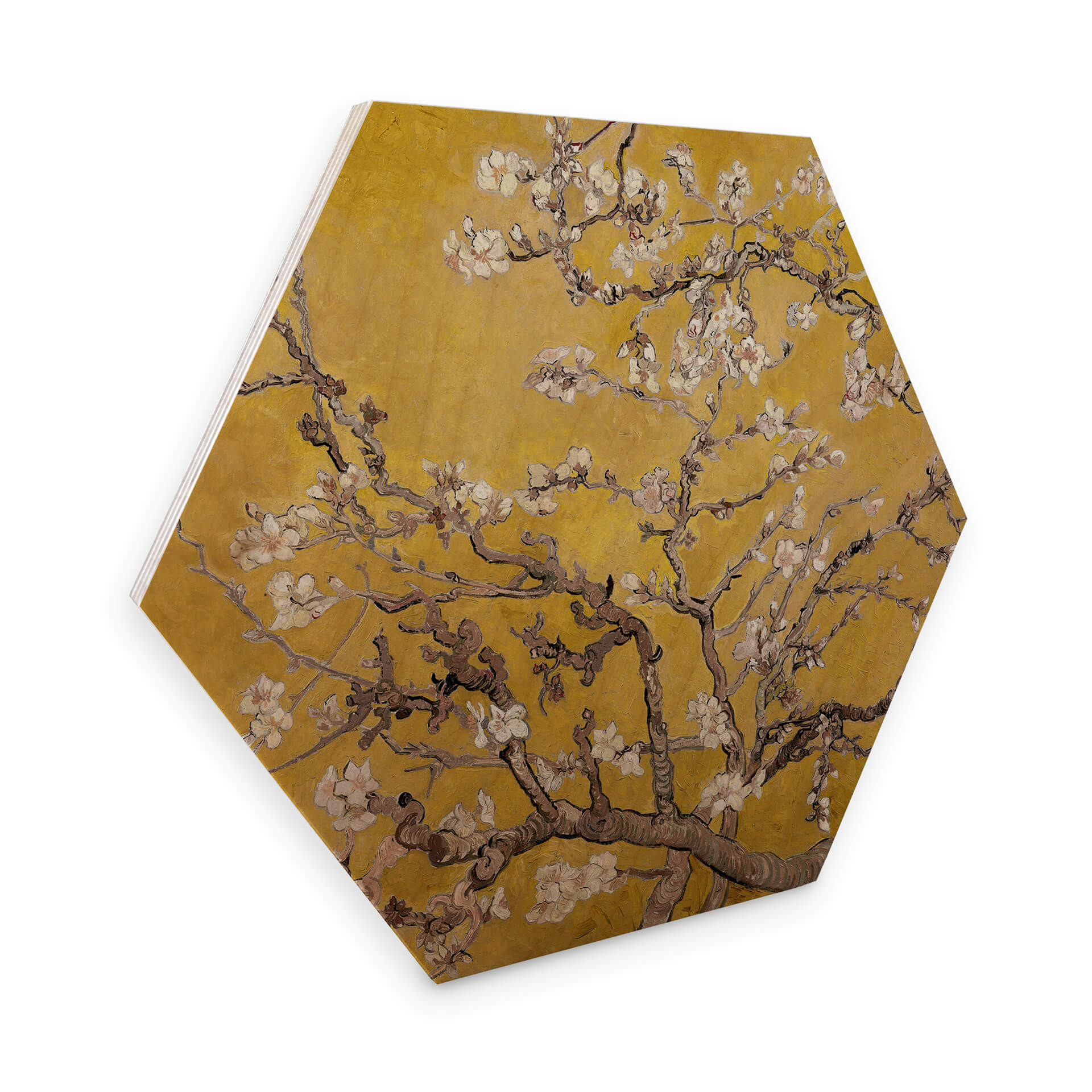 Hexagone - Bois van Gogh - Amandier en fleurs jaune