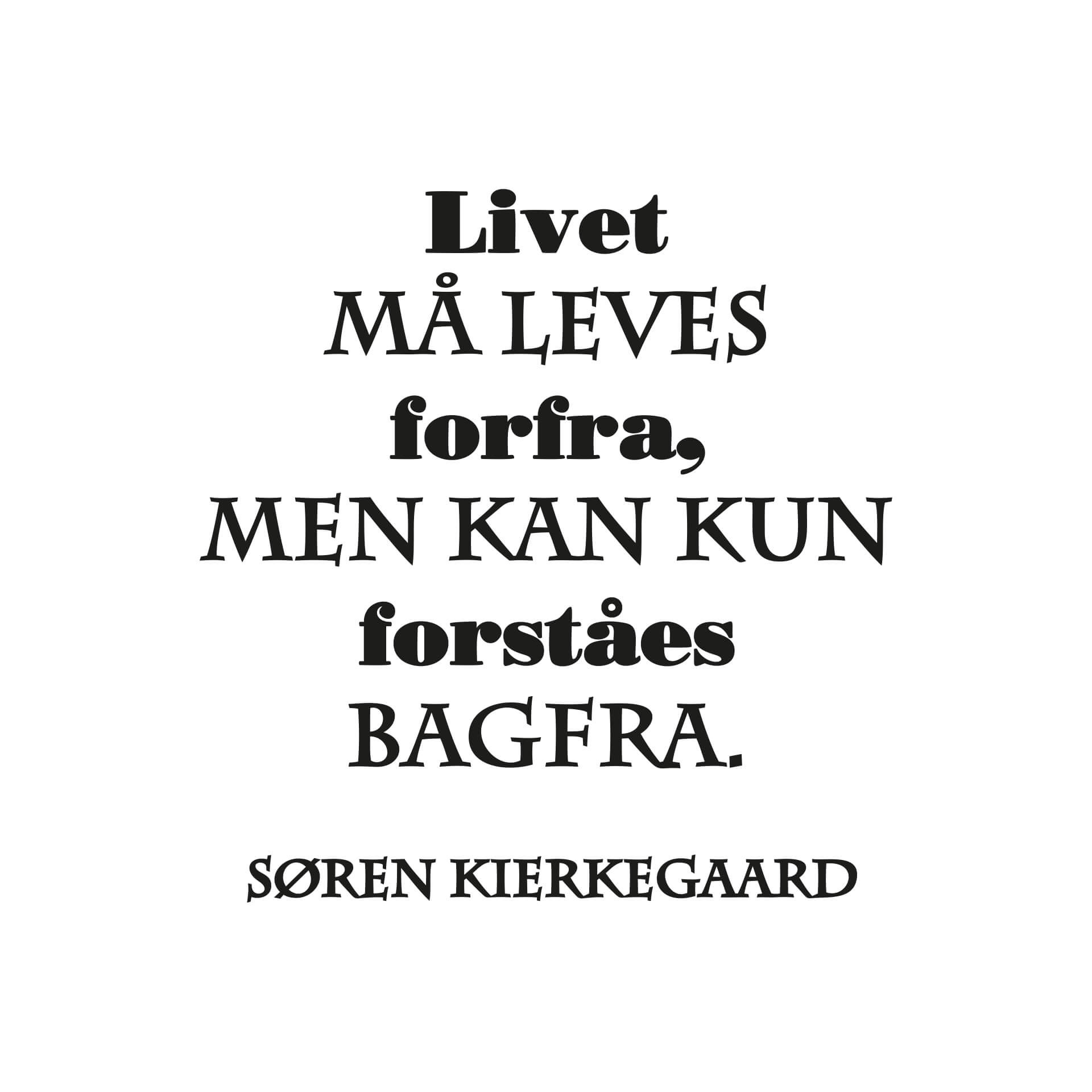 Wallsticker -  Livet ma leves...