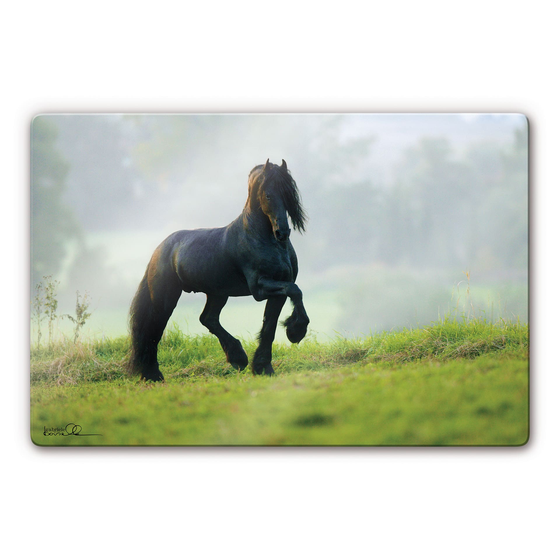 Glasschilderijen Fries Paard