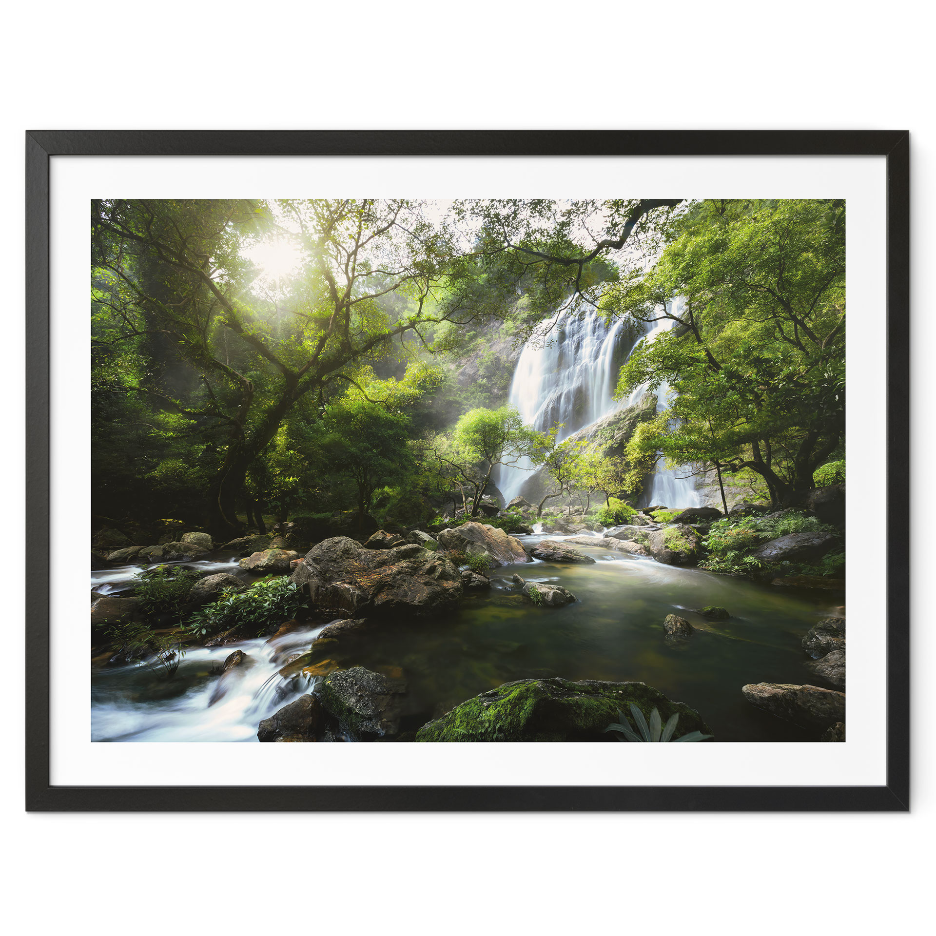 Poster Cascade dans la forêt