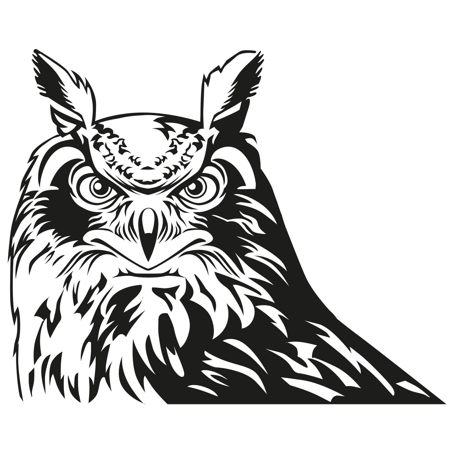 Wallsticker Ørneugle