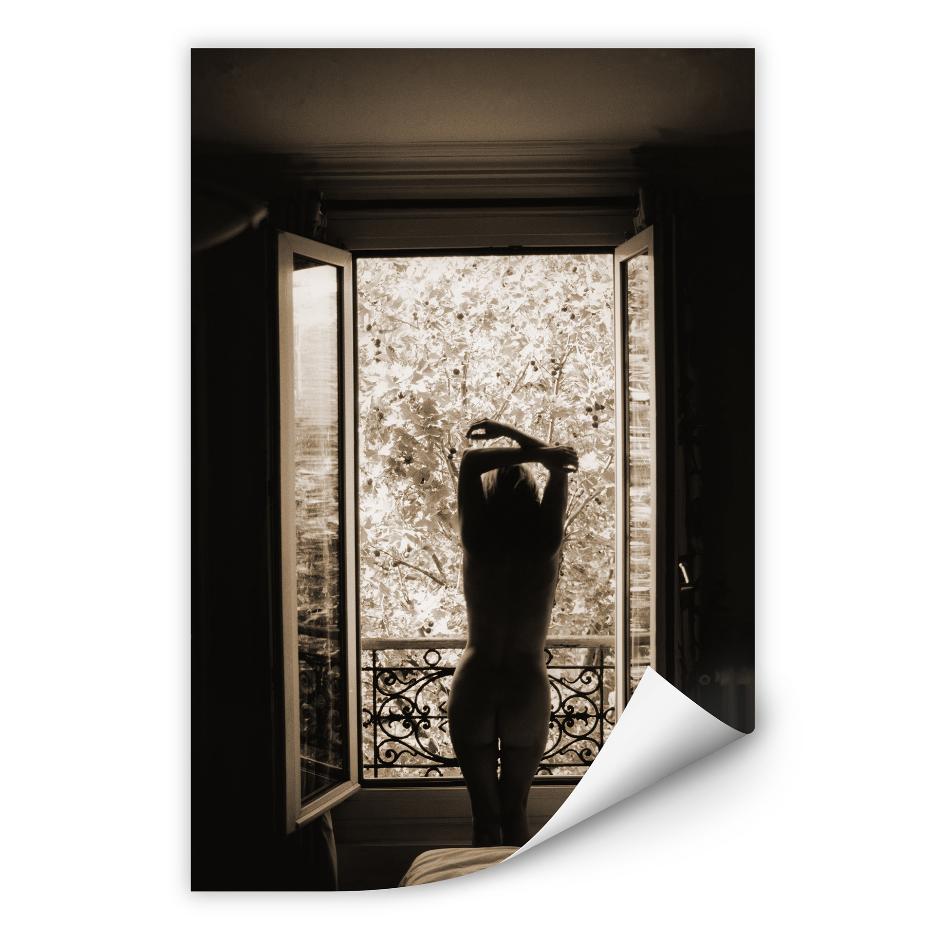 Wallprint W - Der Blick aus dem Fenster!