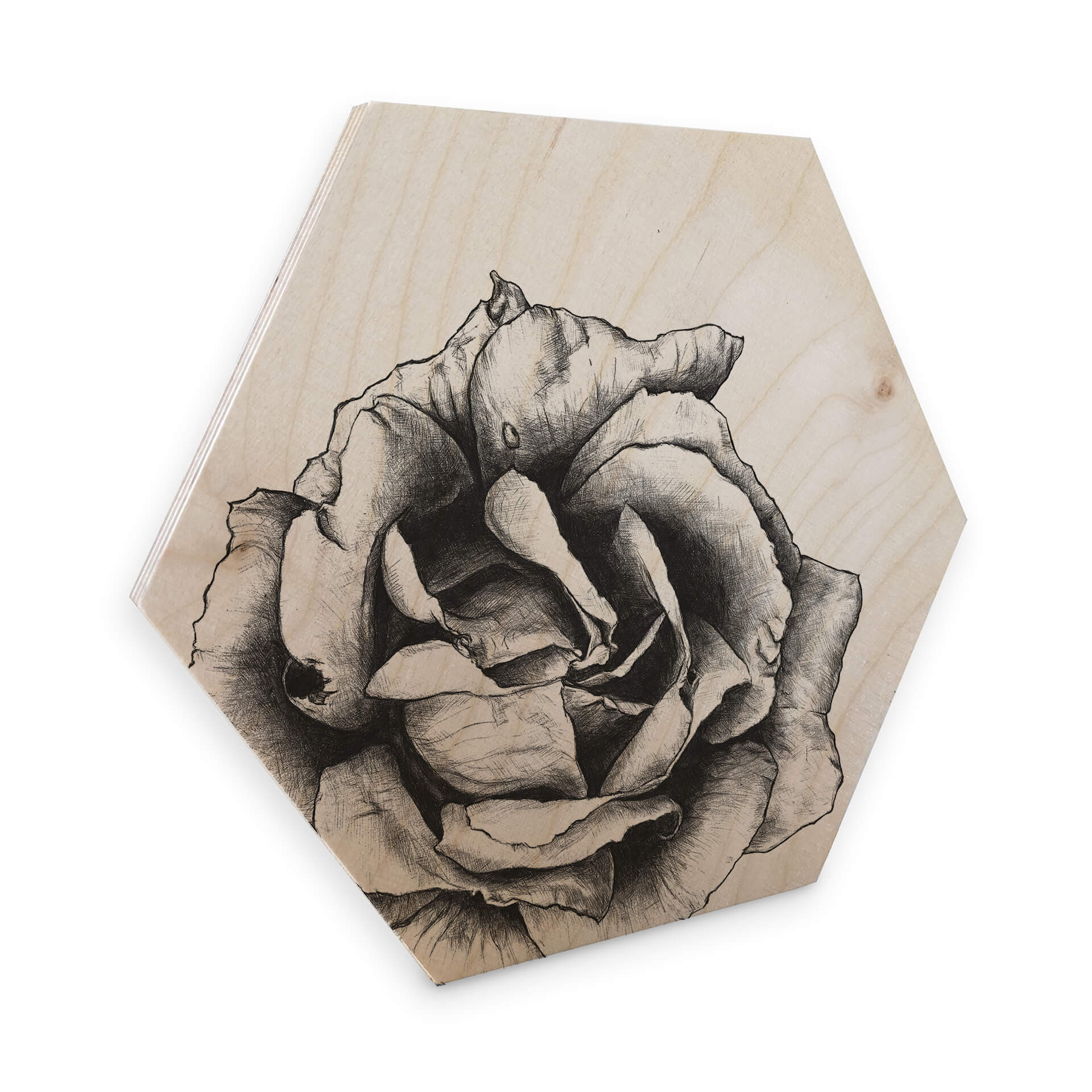 Esagoni in legno Kools - Rosa
