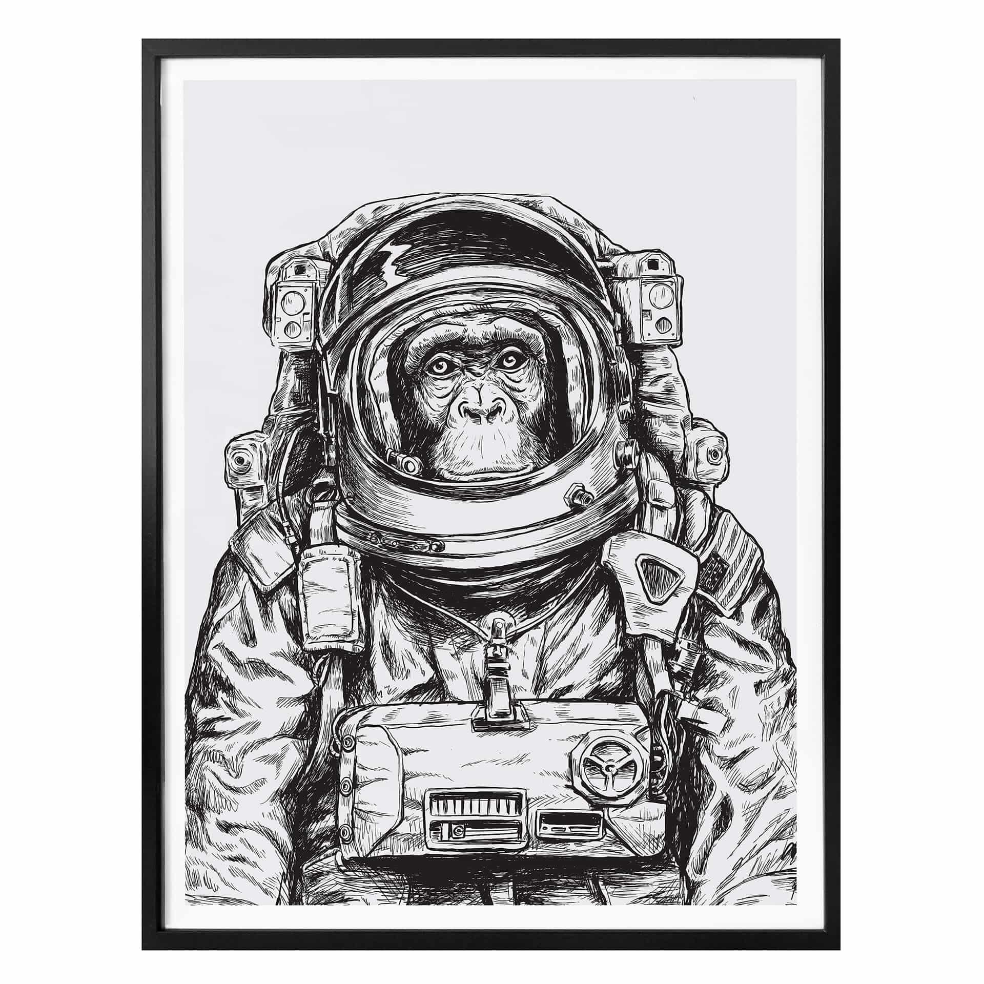 Poster Space Monkey