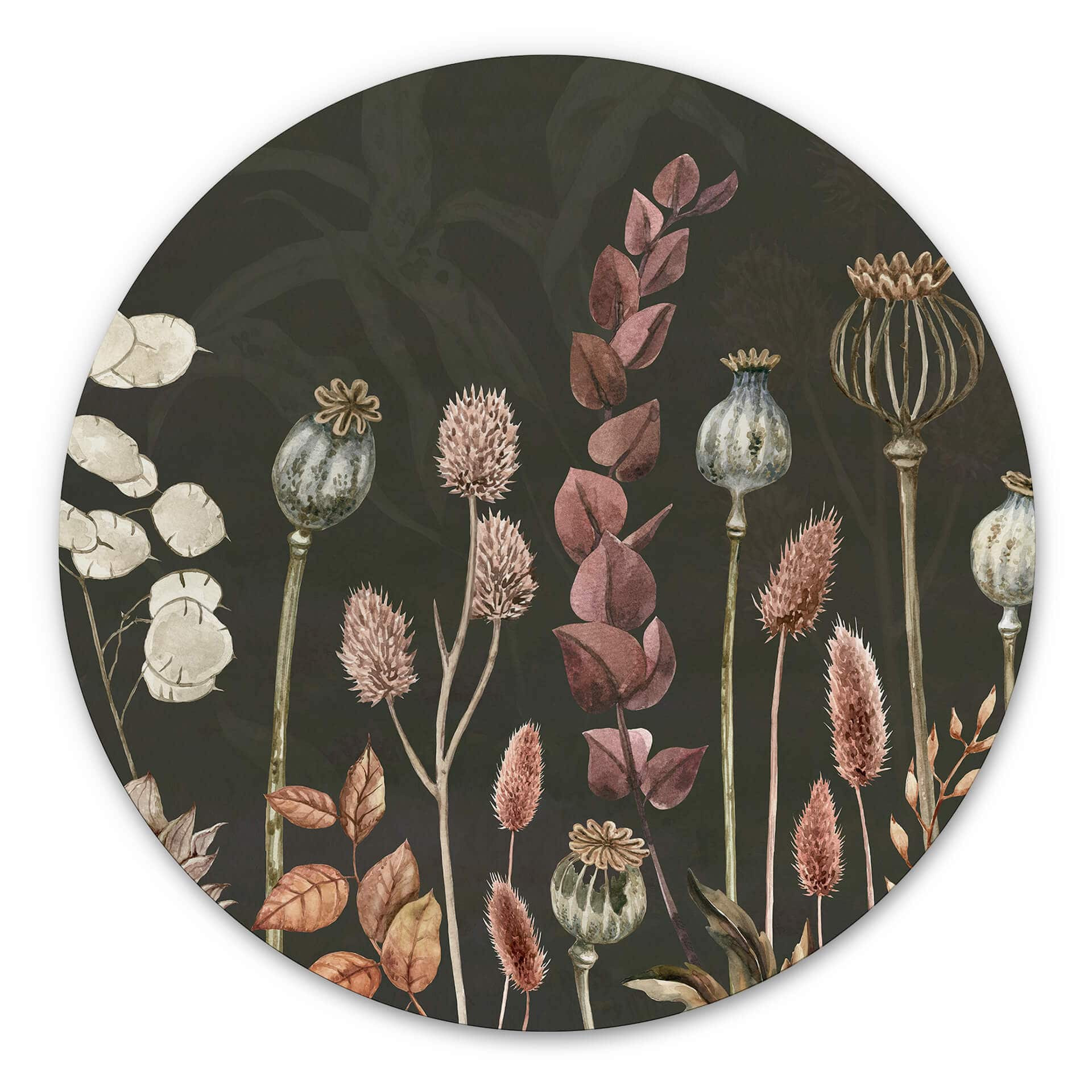 Tableau sur alu-Dibond rond Sir Edward - Olive Fleurs Séchées