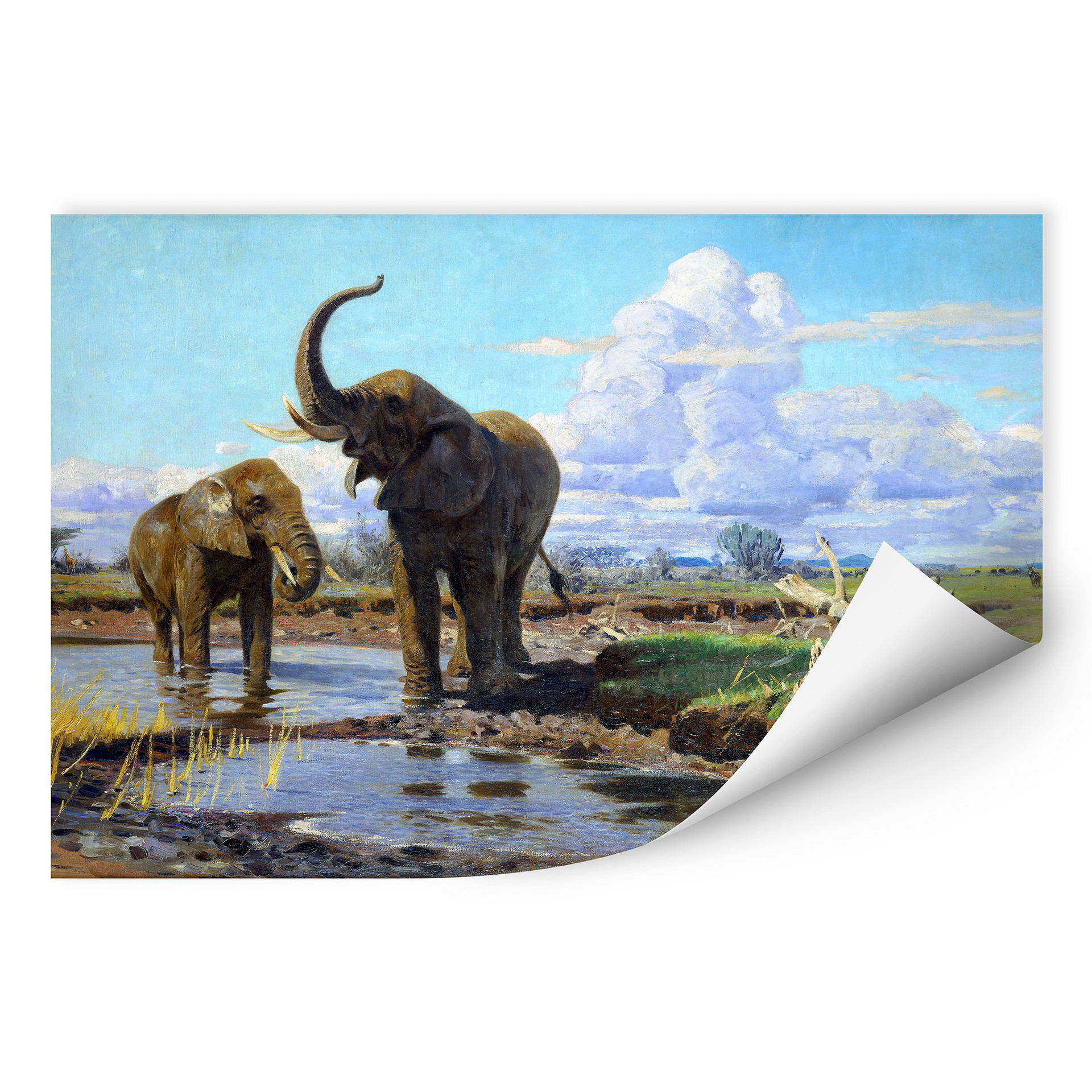 Wallprint W - Kuhnert - Elefanten an der Wasserstelle