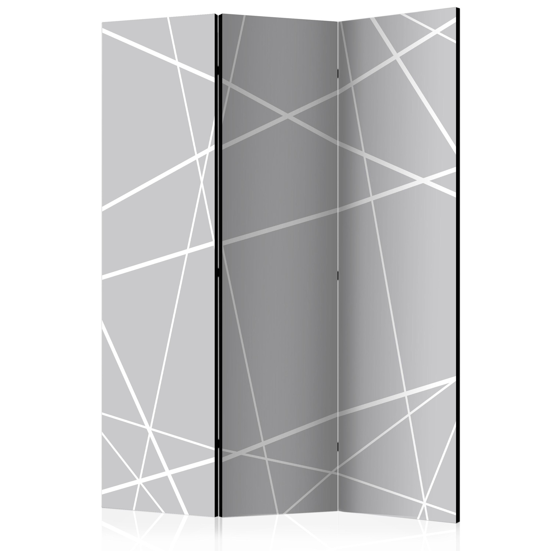 Screen room divider - Moderne edderkoppespind, 3-delt