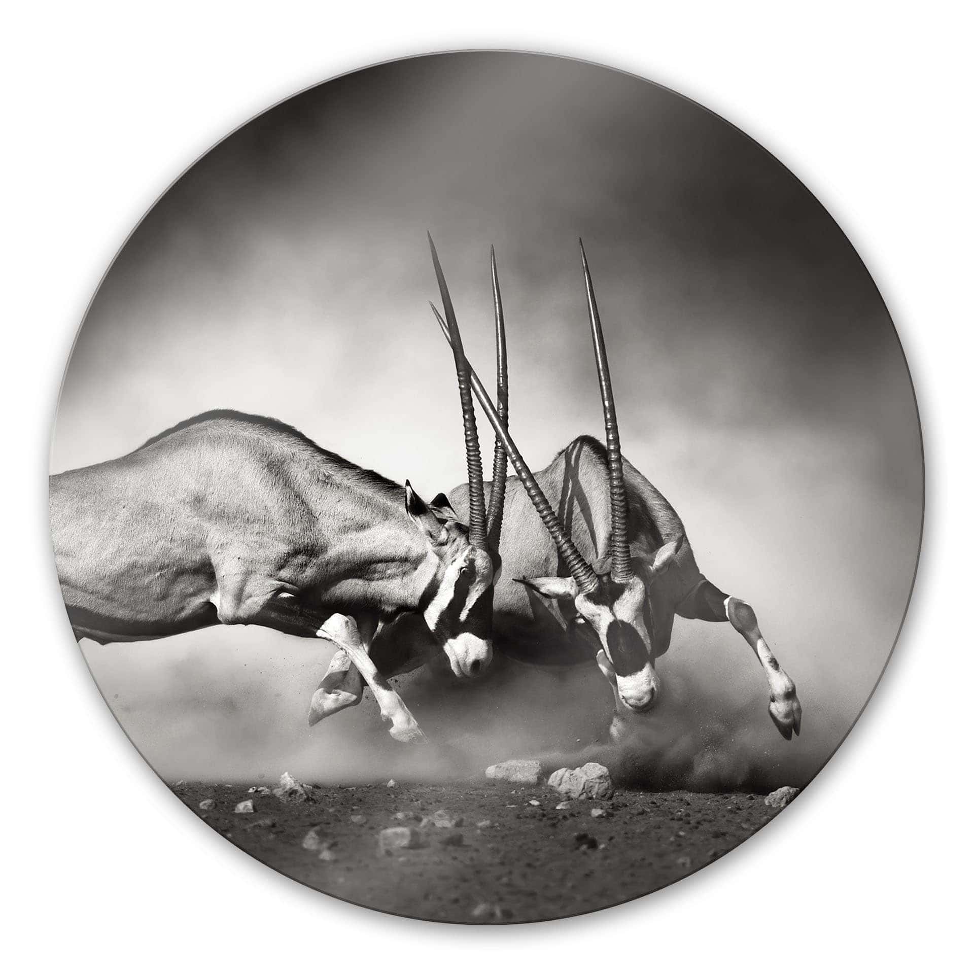 Tableau en verre - Le duel - rond
