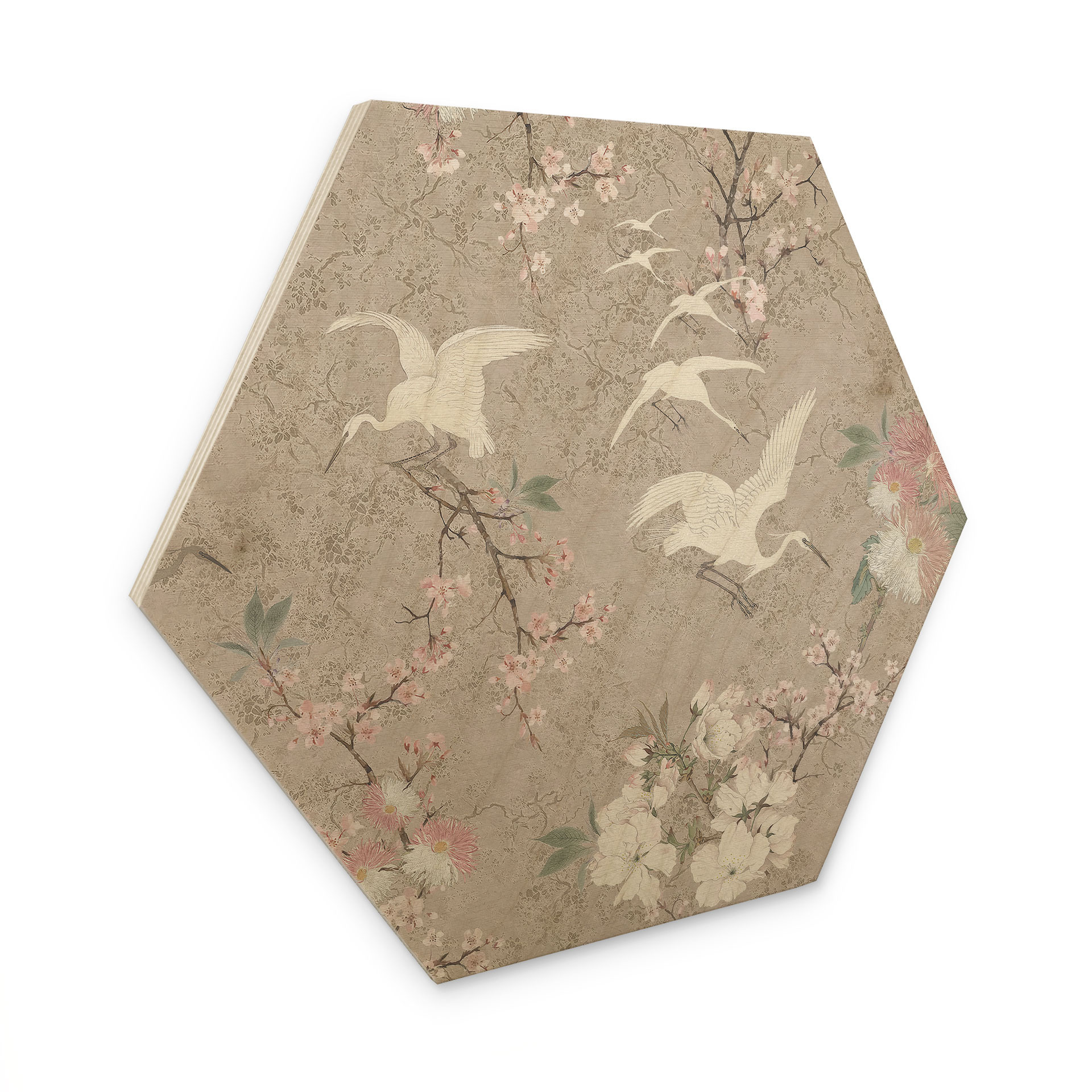 Sekskantet Billede af træ Kraner i Cherry Blossom Rush Beige - Bloomery Decor