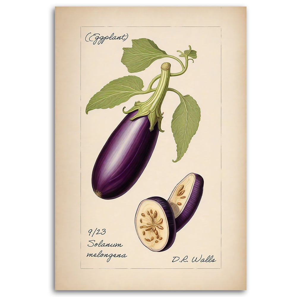 Leinwandbild Gemüse Weinlese Aubergine