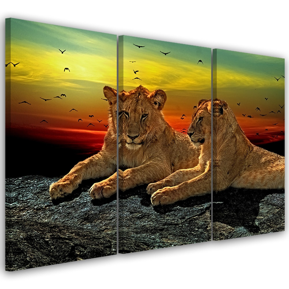 3 stykke lærredsprint, Lions Wilderness Africa Nature