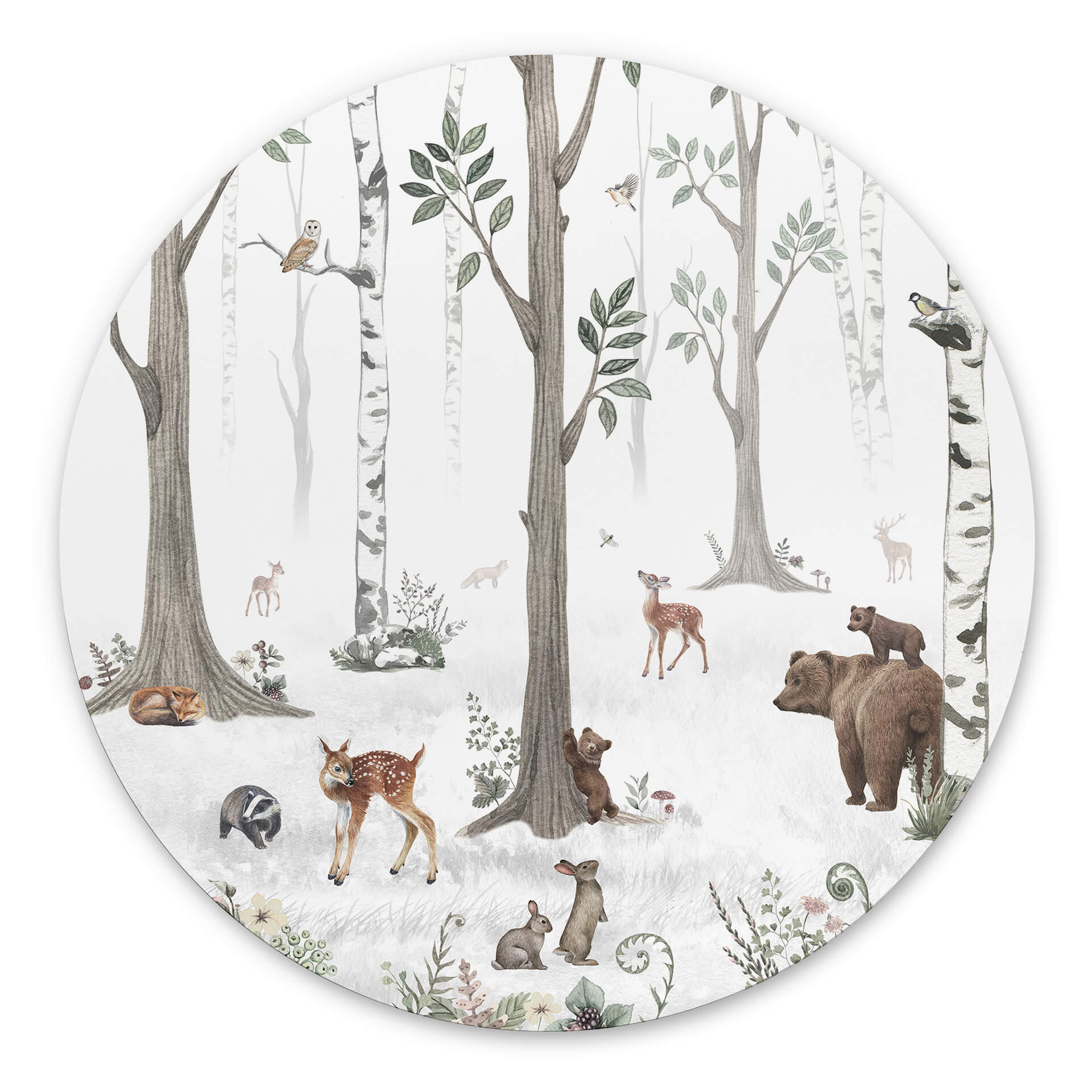 Tableau sur alu-Dibond rond Kikki Belle - Beauté de la forêt
