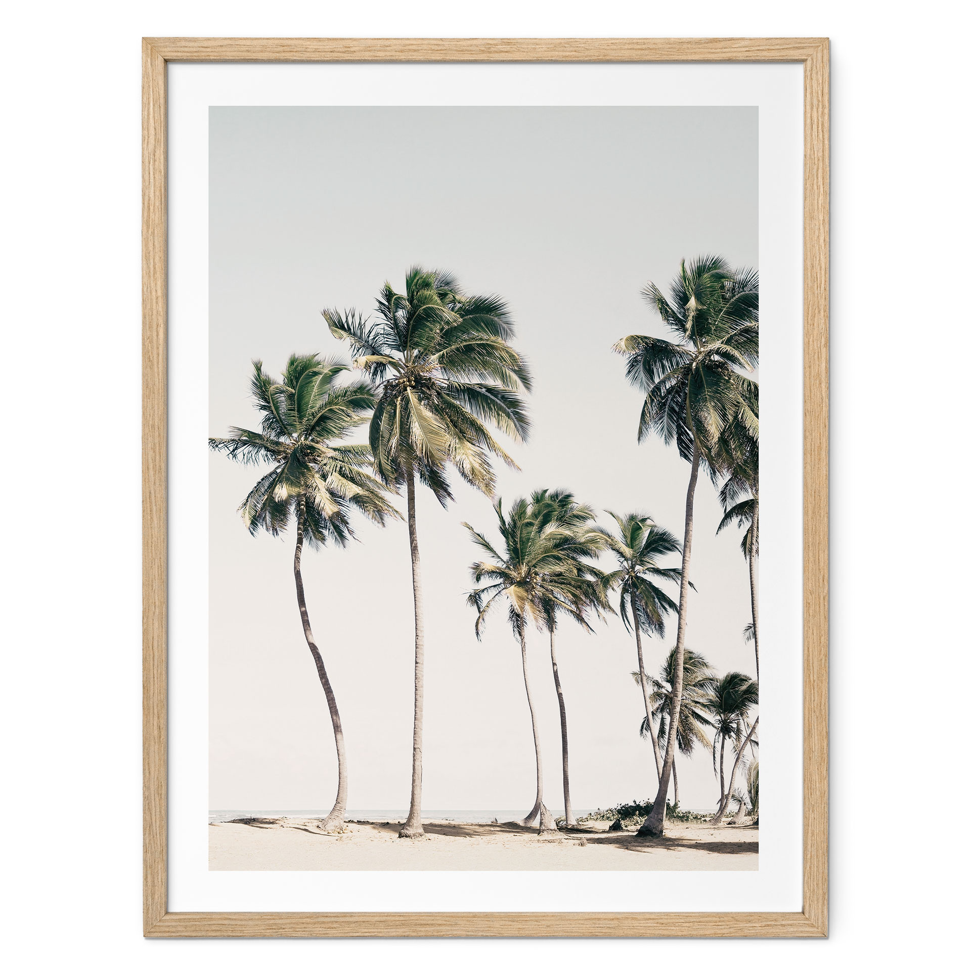 Poster Palmiers tropicaux sur la plage | L'ambiance des îles en été - Sisi & Seb