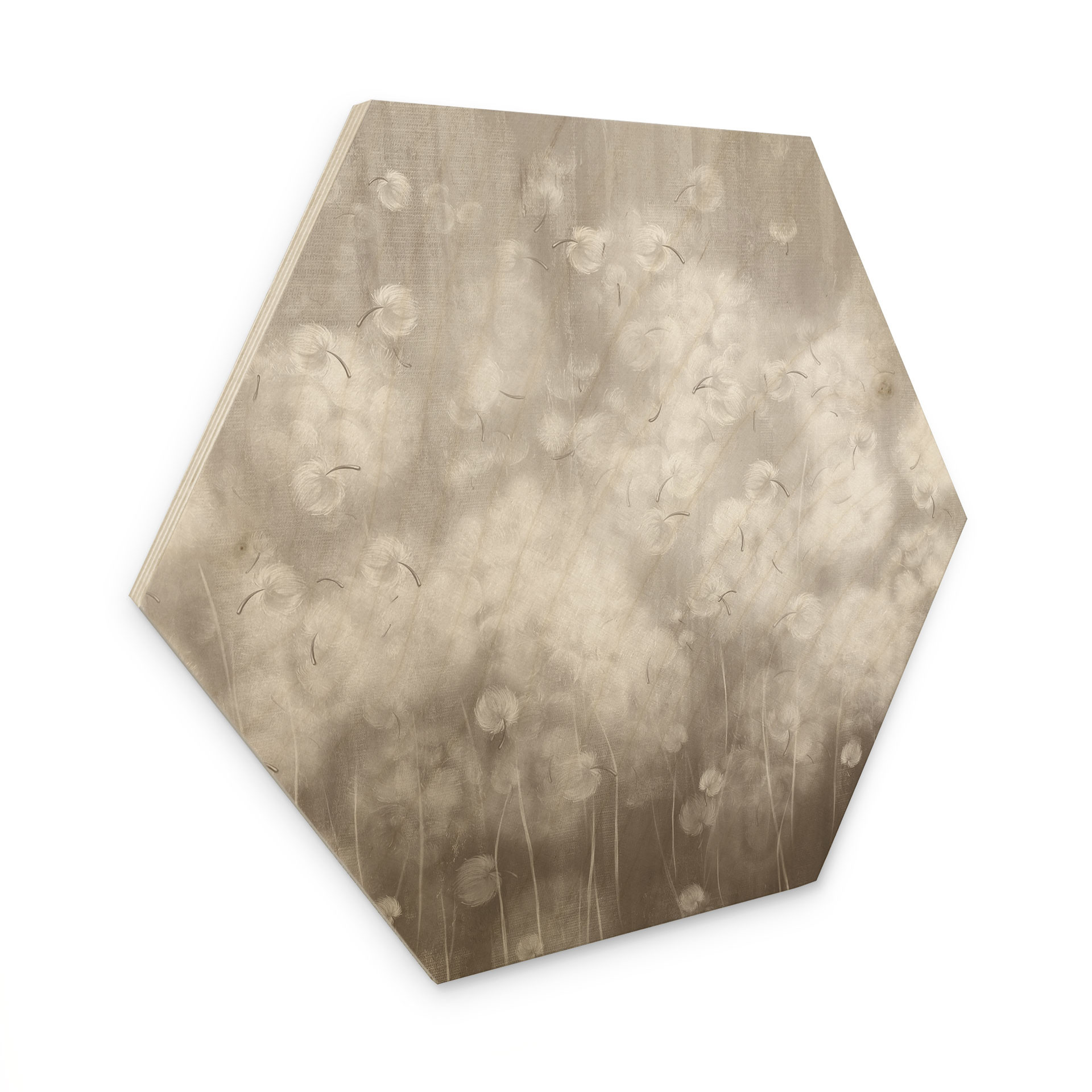 Zeshoekige Houten Wanddecoratie paardenbloemen droom in beige - Ms Tiff