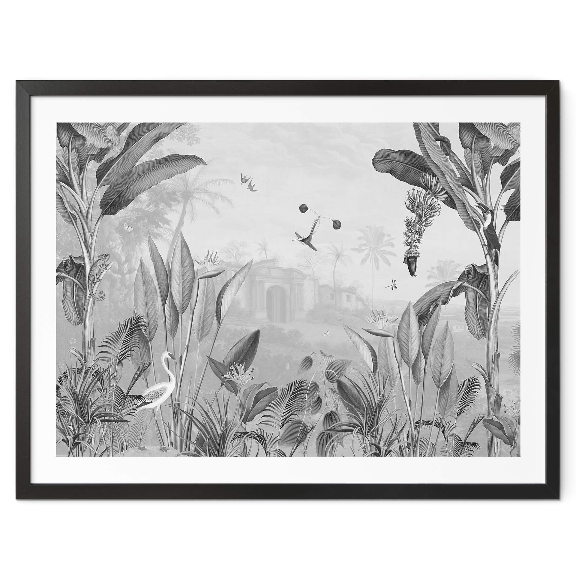 Poster Sir Edward - Botanique noir et blanc