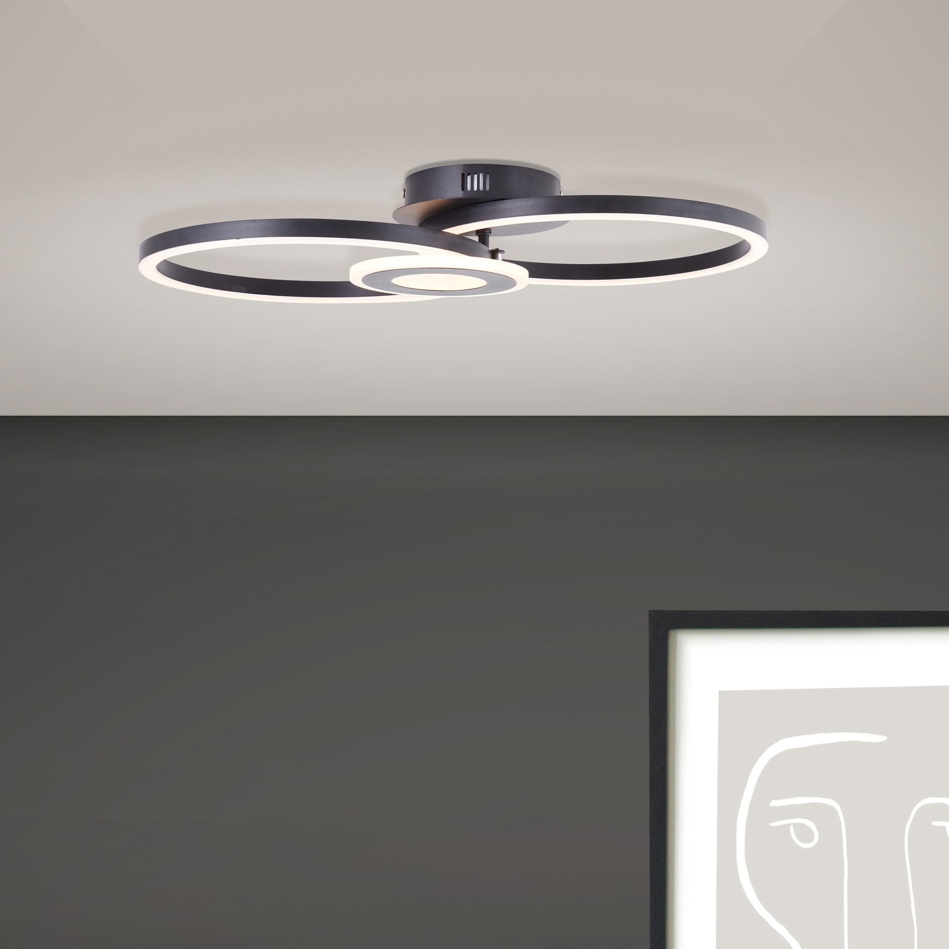 Deckenleuchte Chloe, schwarz, 52 x 30 cm, Metall LED-Deckenleuchte, dimmbar