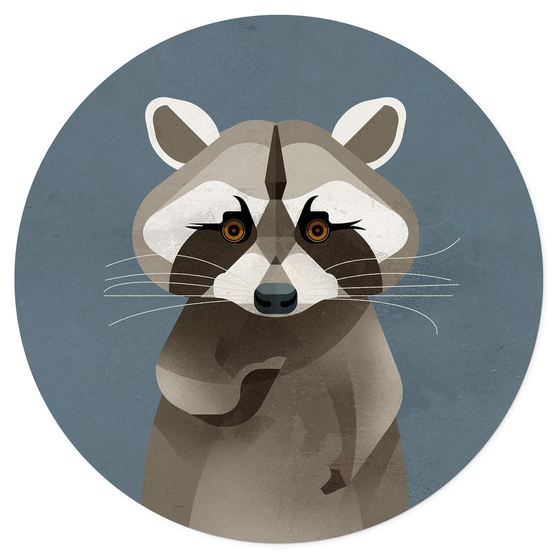 Wandtattoo Waschbär - Rund - Braun