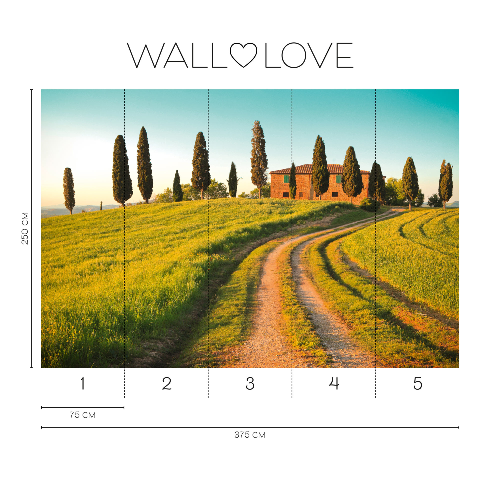 Fotobehang cipressen huis - Vliesbehang 3,75 m x 2,50 m landschap Italië