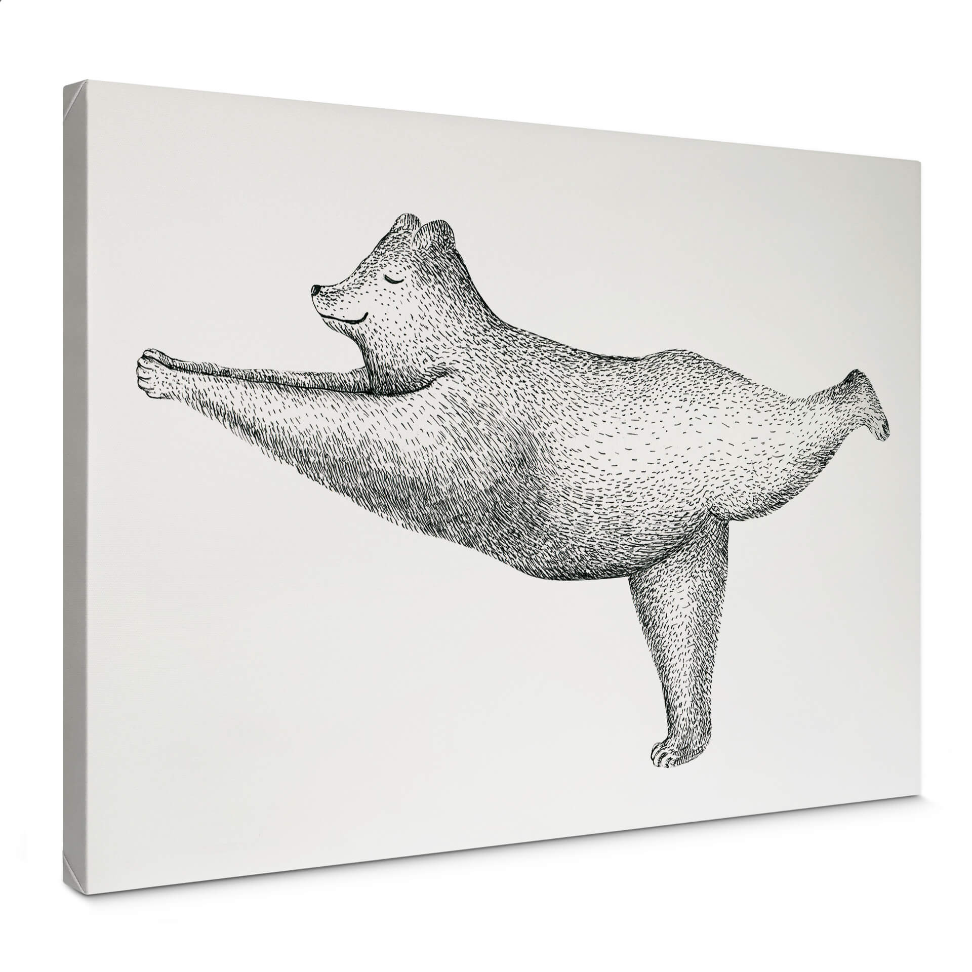 Canvas Kvilis - Yoga Bear 02