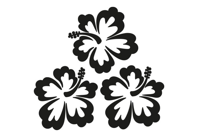 Melkglas - Hibiscus Bloemen