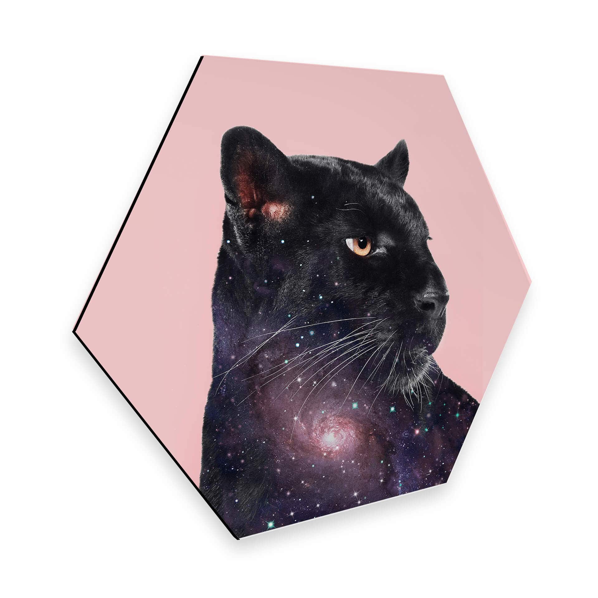 Hexagone - Alu-Dibond Loose - Galaxie de panthère