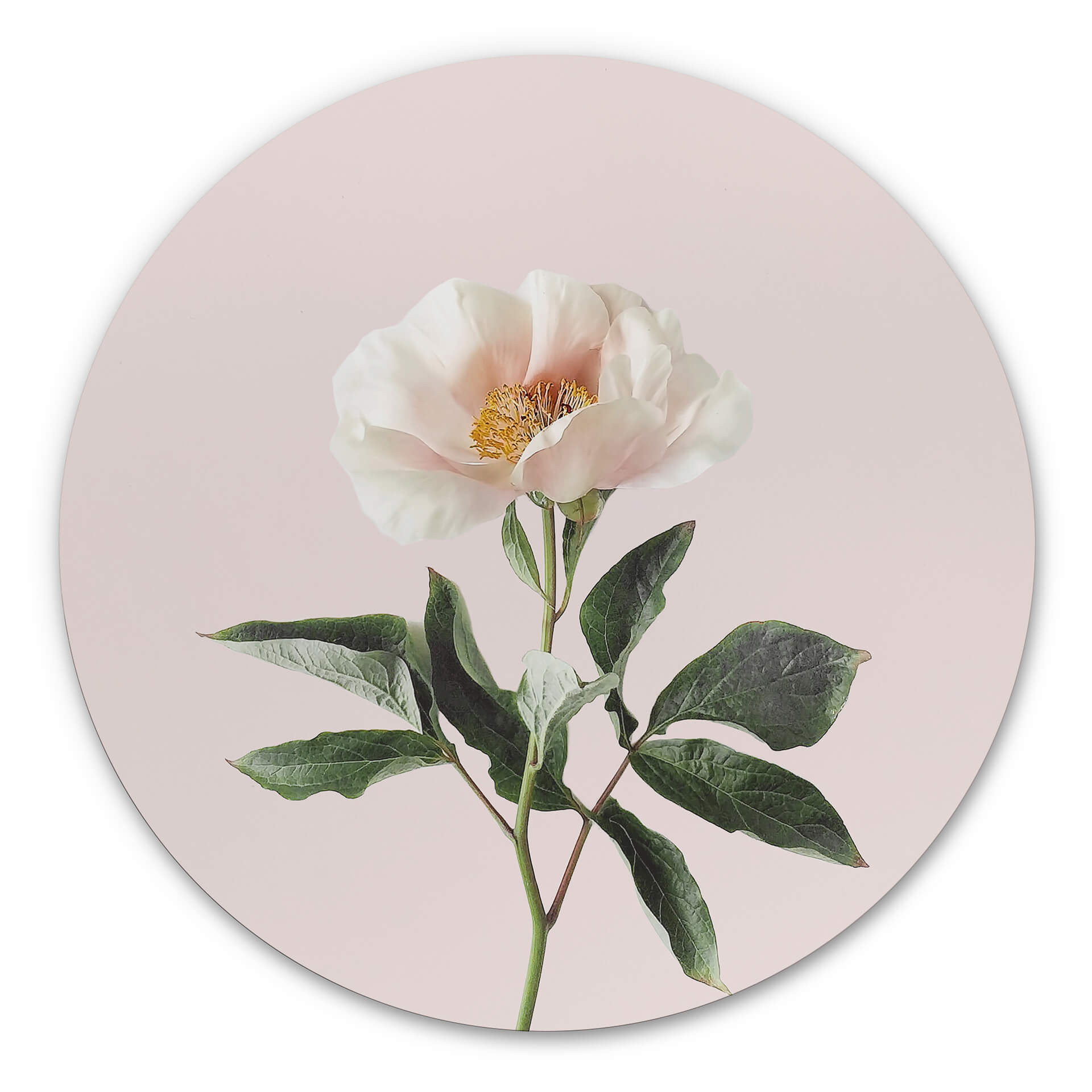 Tableau en alu-Dibond Sisi &Seb - Tendresse - Rond