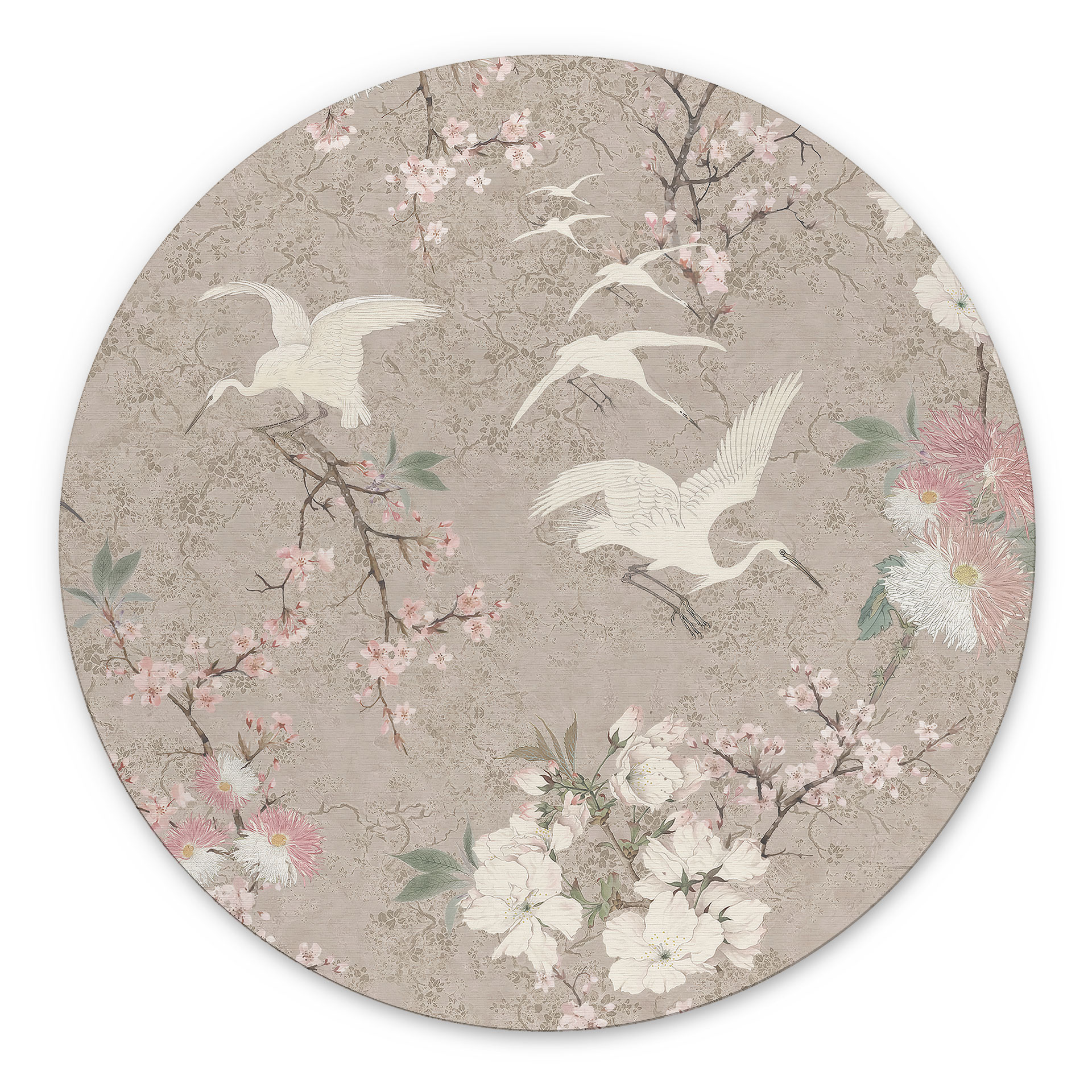 Billede af kraner i en kirsebærblomst Rush Beige - Bloomery Decor - rund – print på aluminium