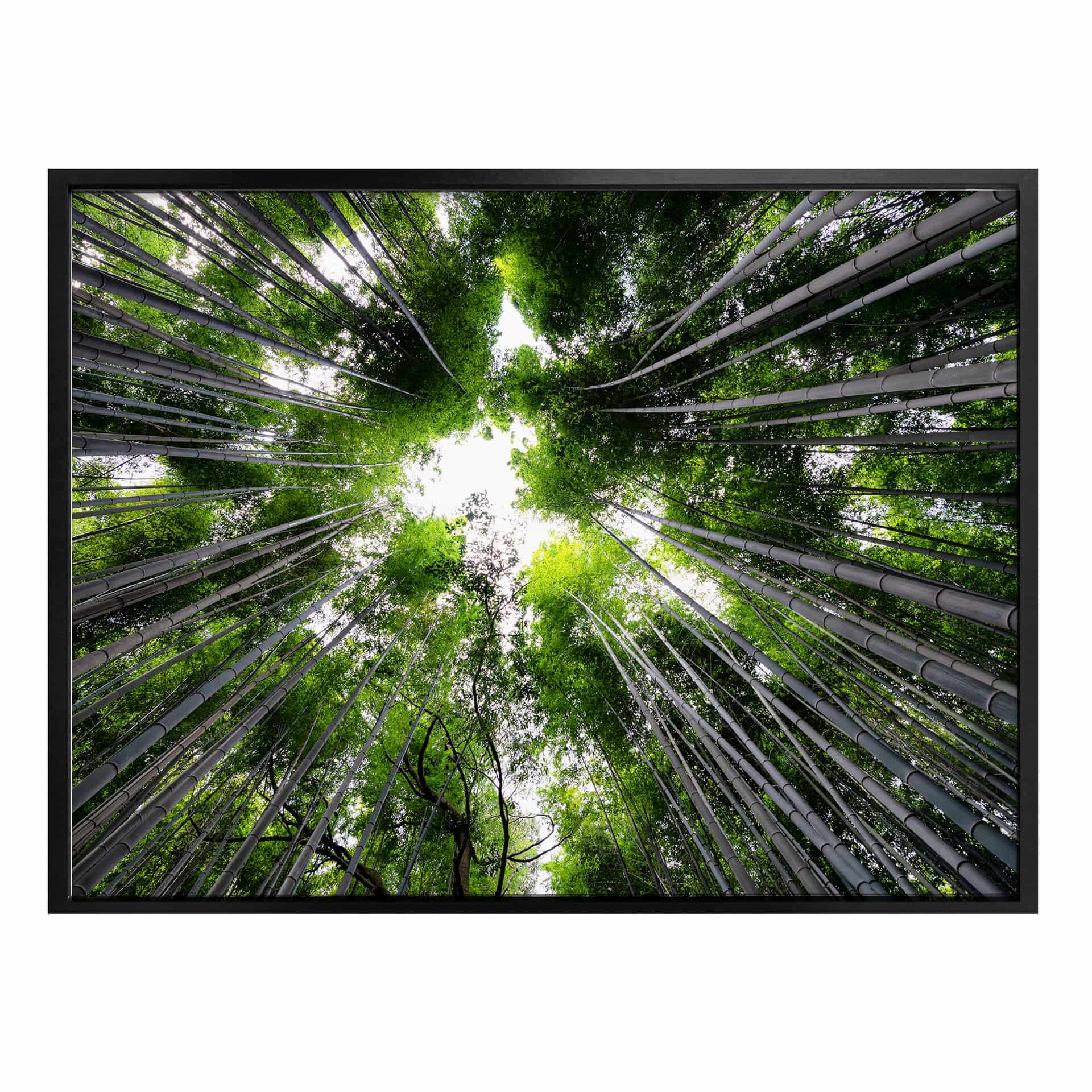 Plakat Hugonnard - Las w Japonii
