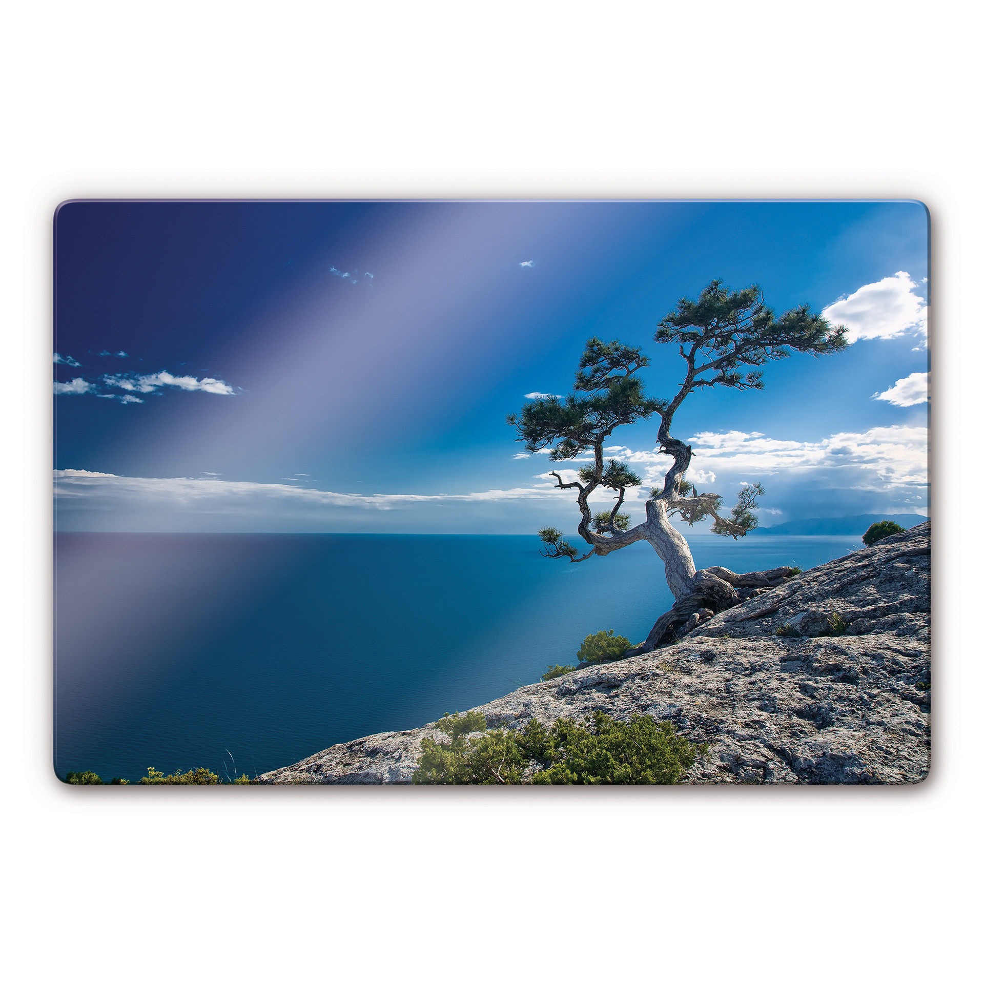 Glasbild Sea and Tree