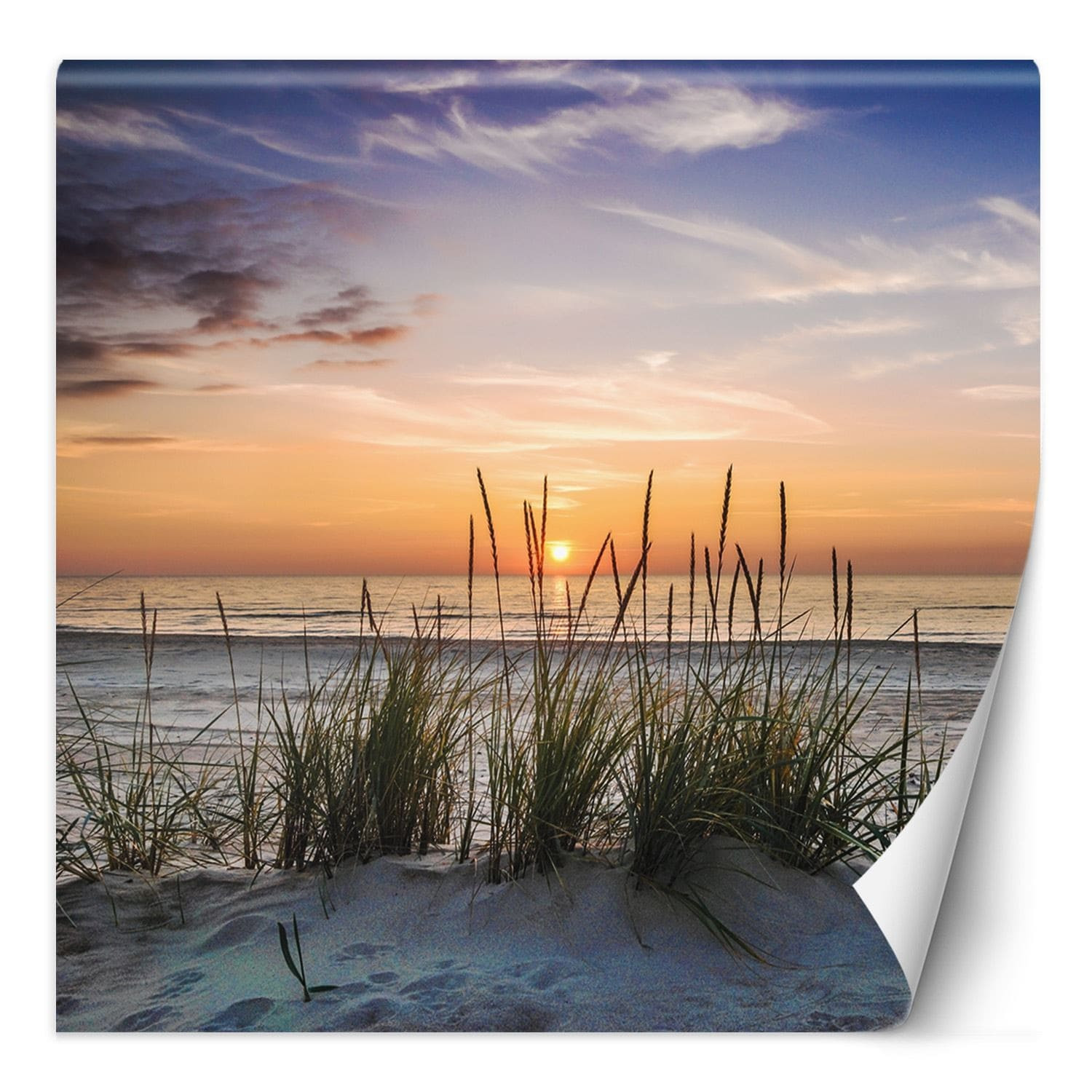 Fototapete, Meer Dünen Strand Sonnenuntergang