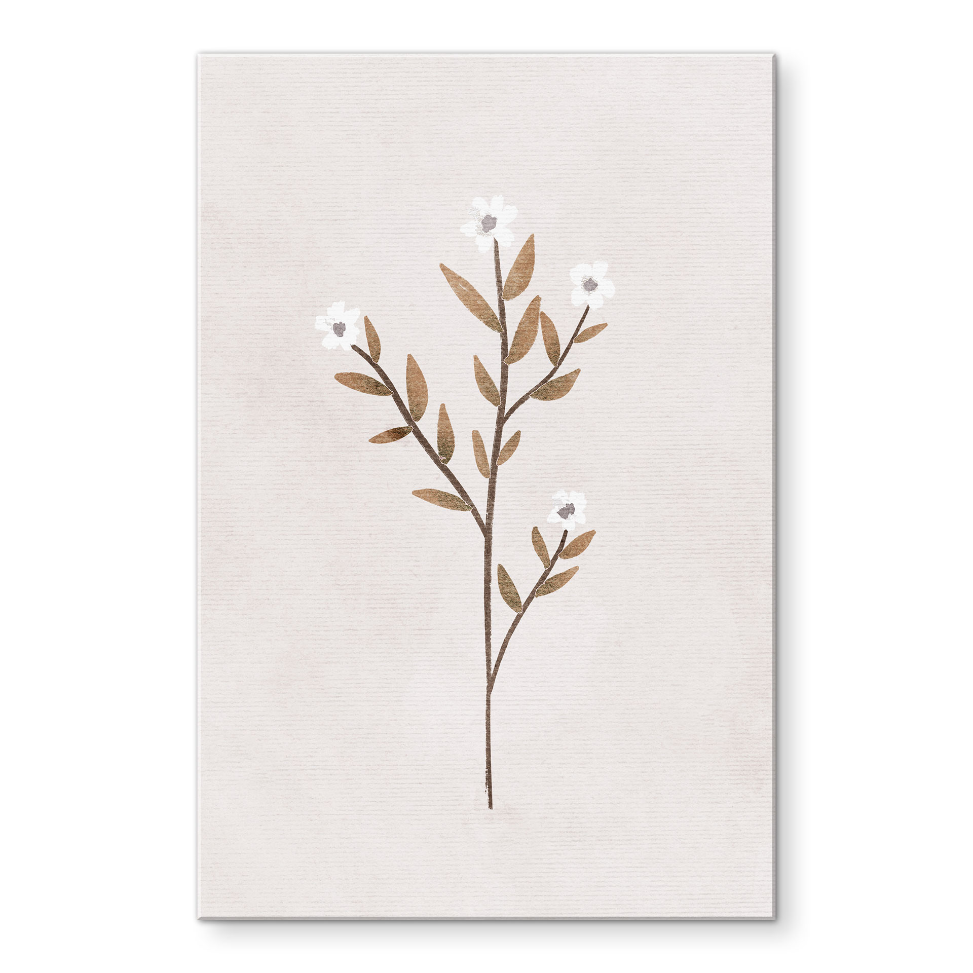 Akrylbillede Blomster Illustration - Forget-me-not - Goed Blauw