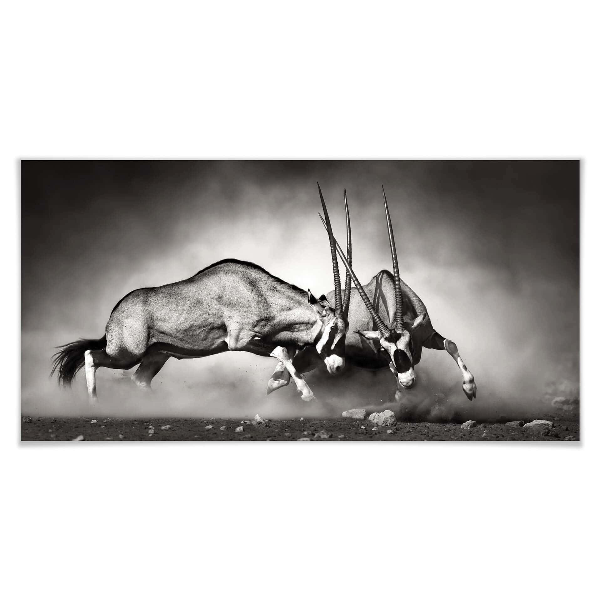 Poster Das Duell - Panorama
