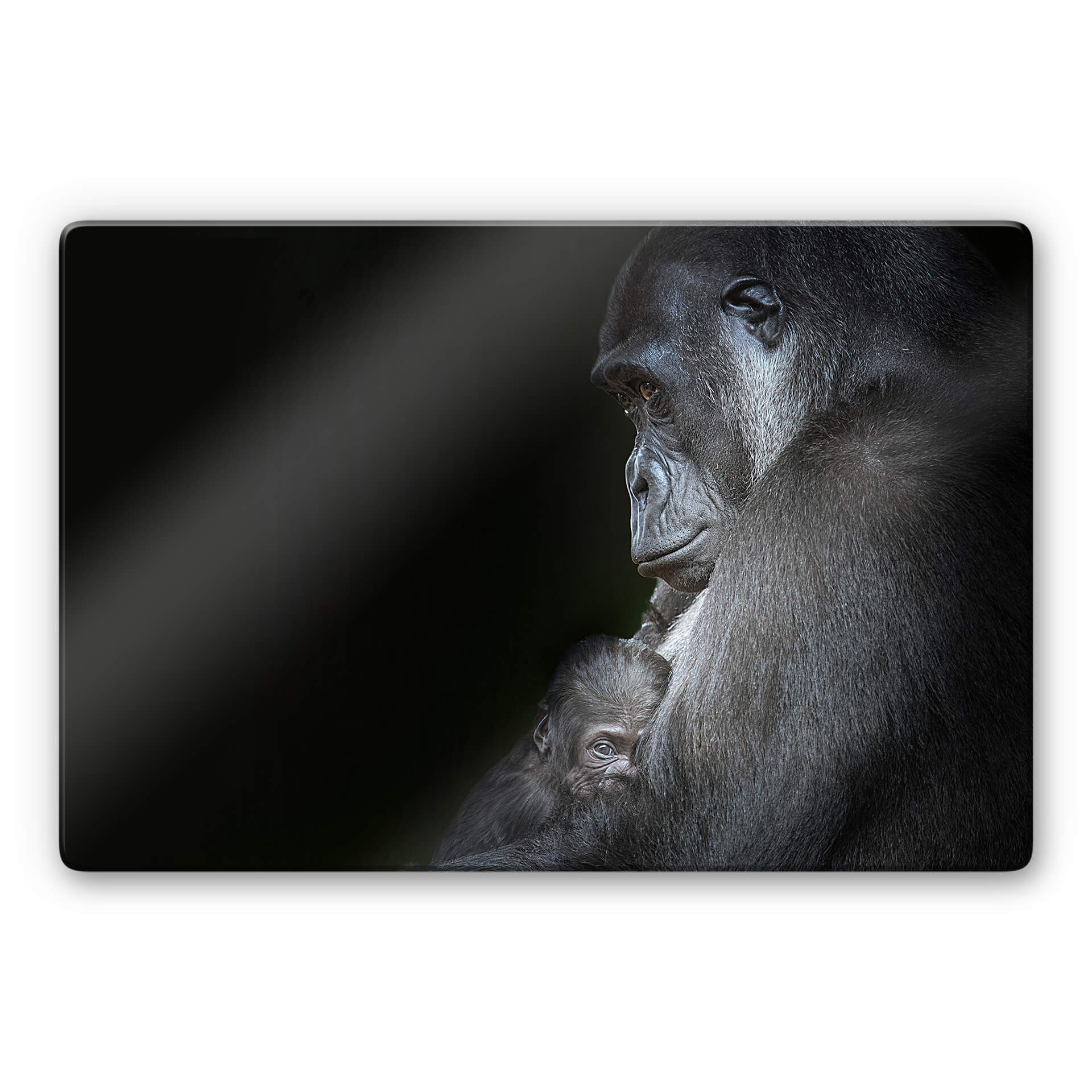 Glasschilderij Cuadrado - Tenderness